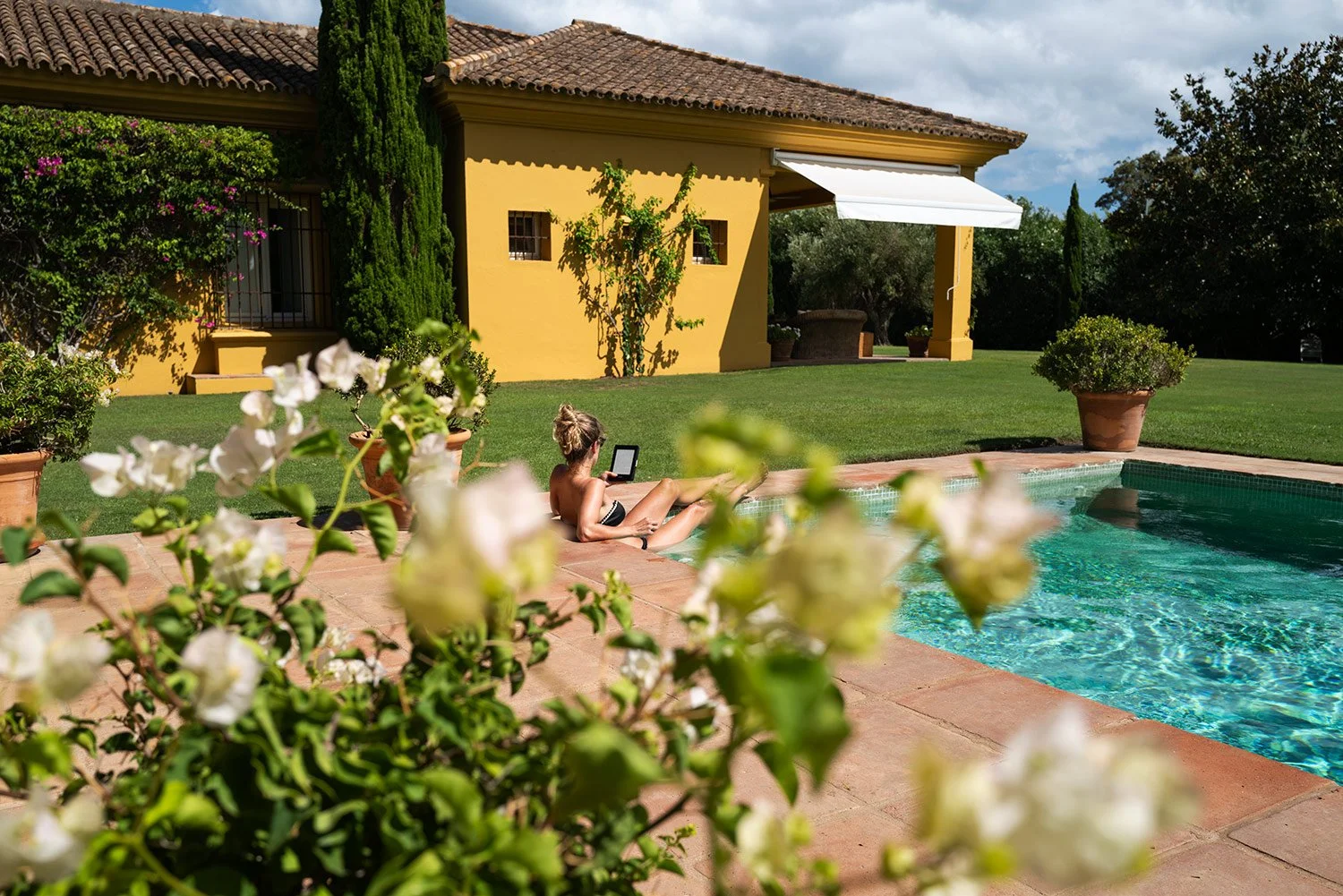 Flowering plants beside the swimming pool, photographed in warm Andalusian sunlight.