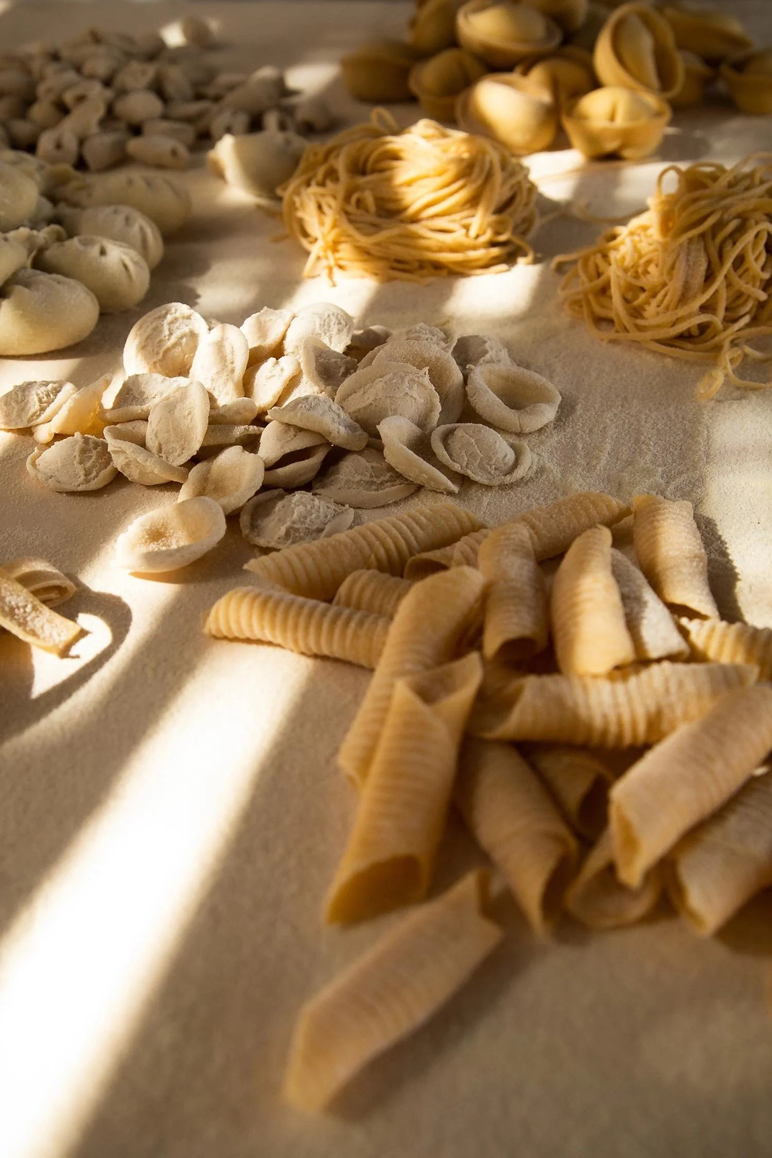 Selection of handmade pasta shapes displayed before preparation.