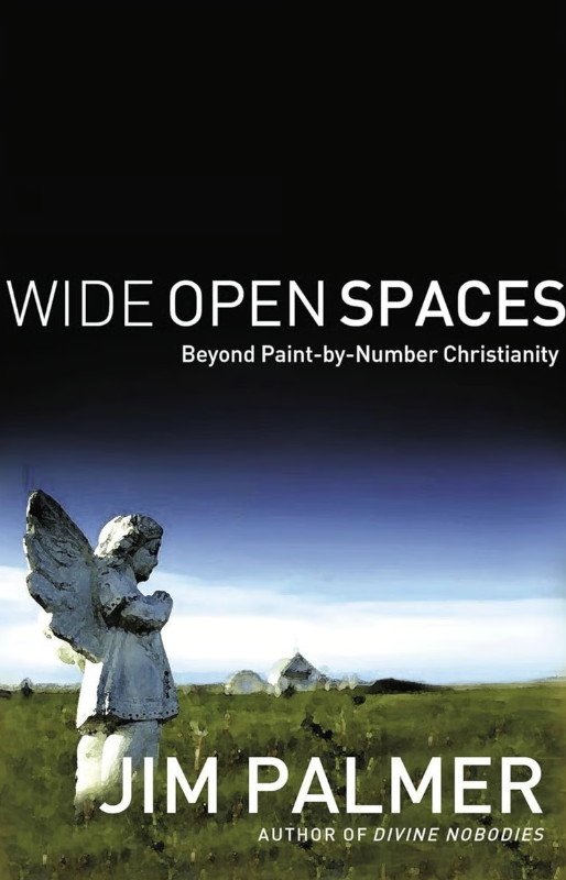 Book cover titled "Wide Open Spaces: Beyond Paint-by-Number Christianity" by Jim Palmer. The cover features a weathered angel statue in an open grassy field with a house and blue sky in the background.