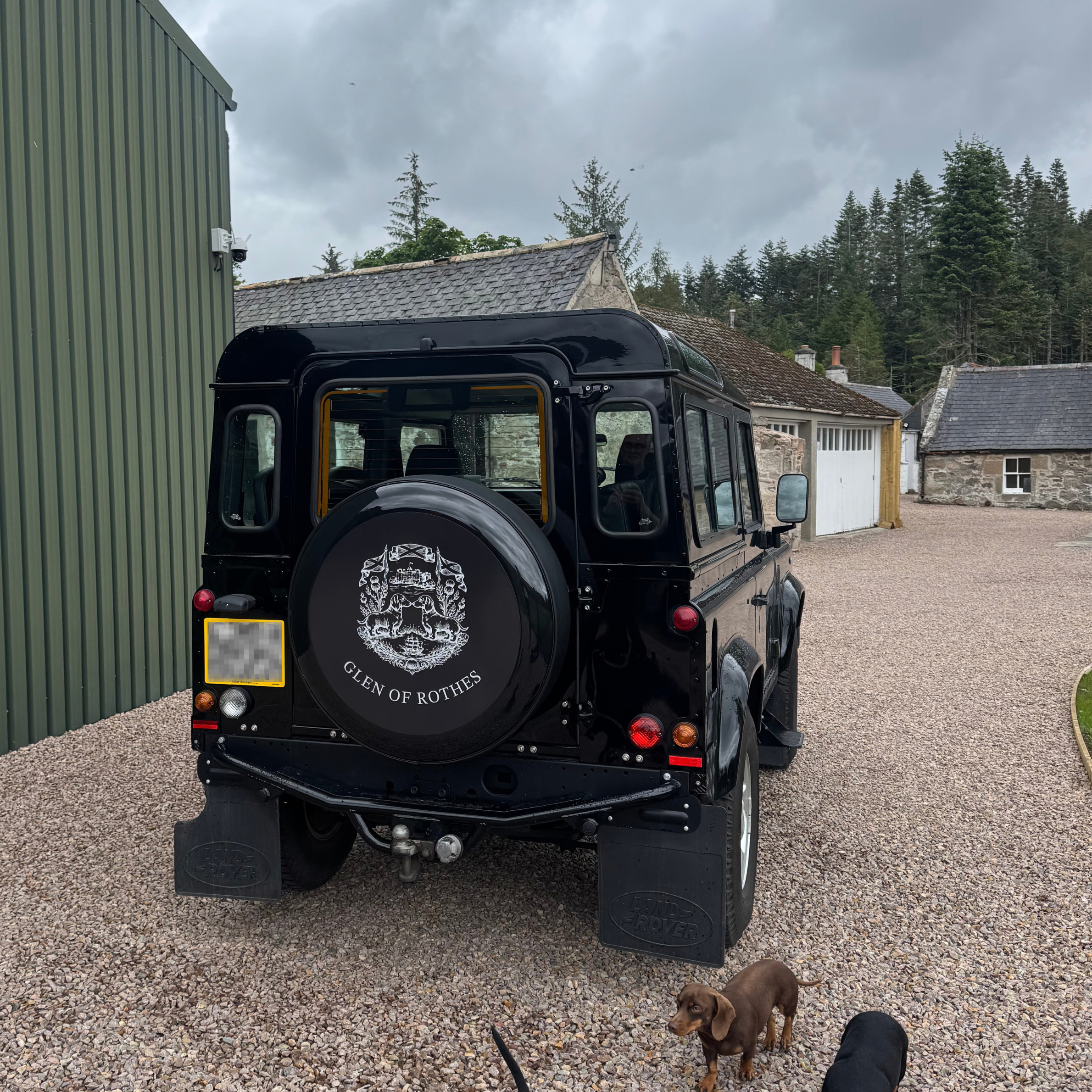 A black Land Rover Defender parked on a gravel driveway next to a green building, with gray cloudy skies overhead. Two brown puppies are on the driveway, one near the bottom right corner and another partially visible in the bottom left corner.