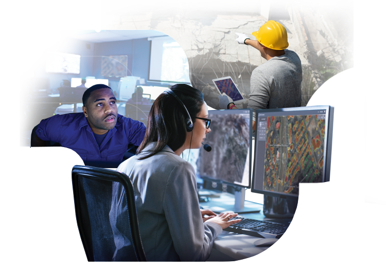 ENVI Ecosystem Users in the Field