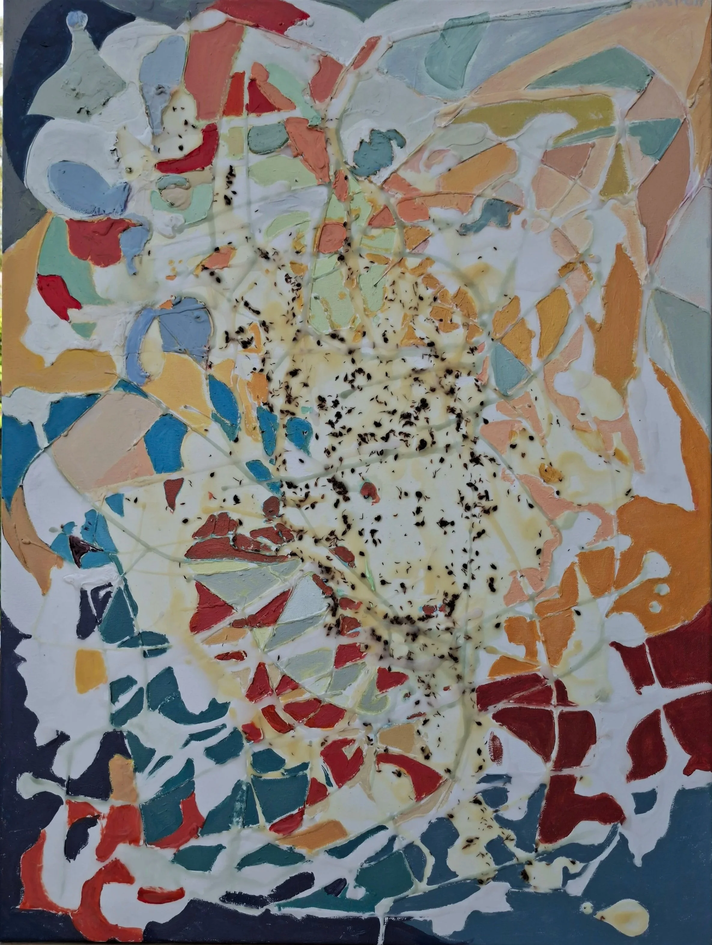 53. Floraison (60x80)