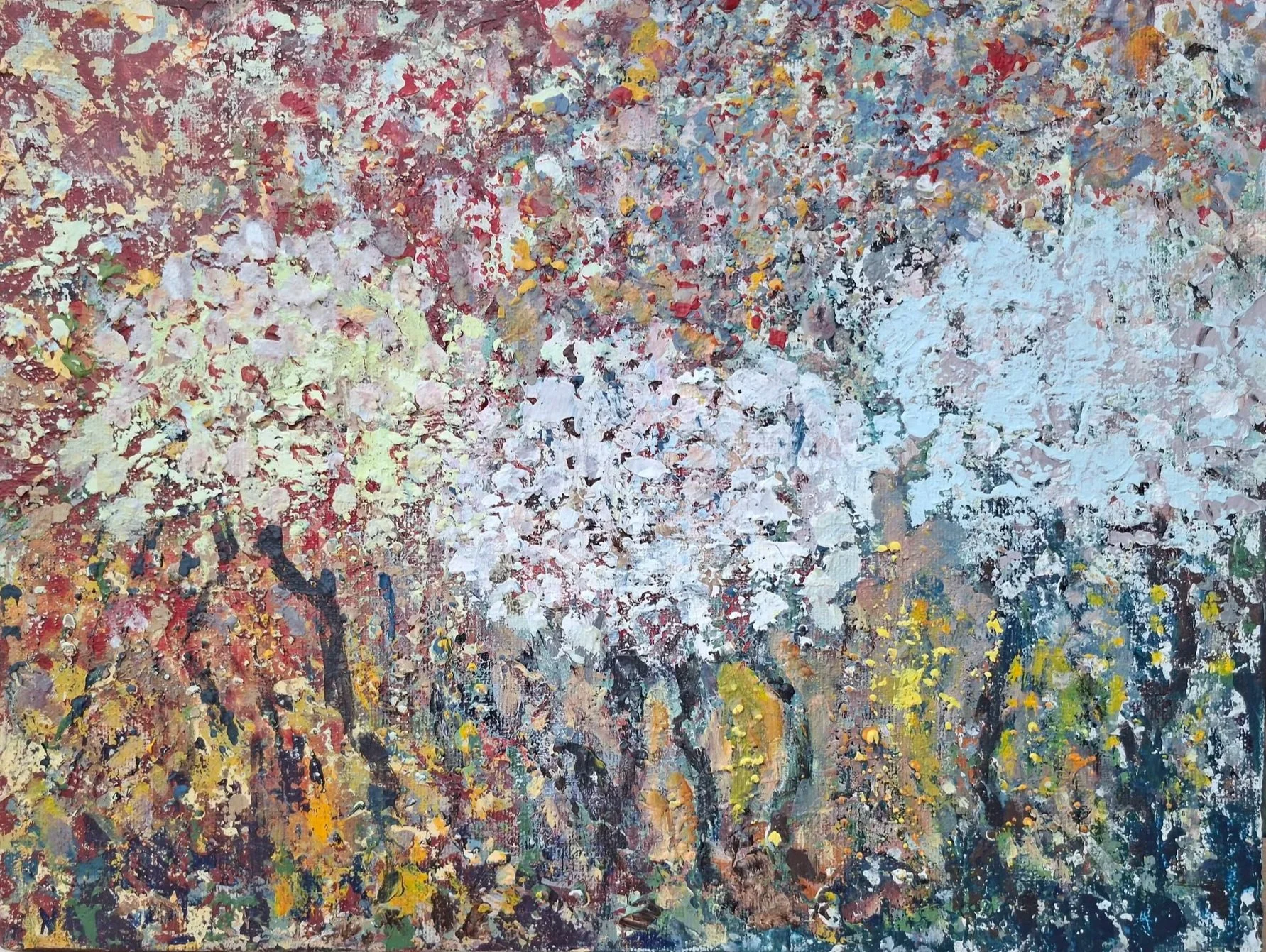 46. Arbres en fleurs (40x30)