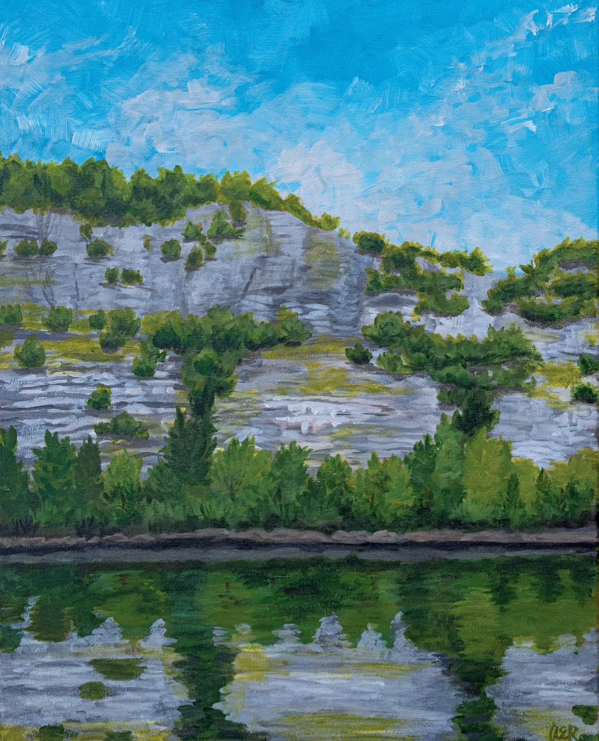 Painter’s Bluff in the Arkansas Ozarks.