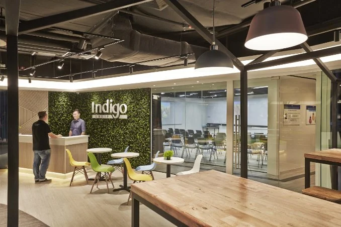 An image of Indigo.