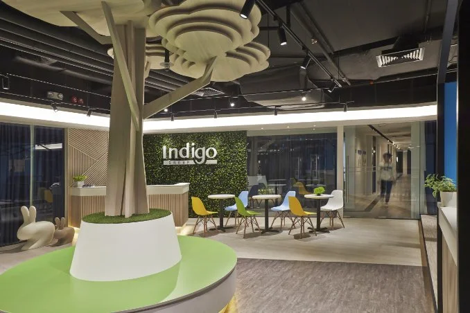 An image of Indigo.