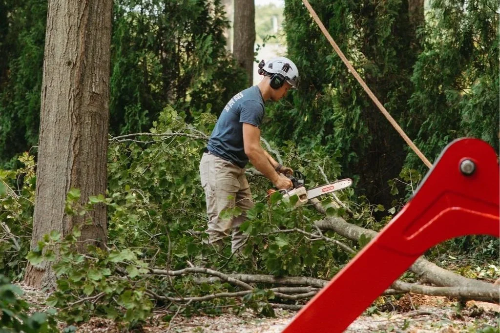 Man using a chainsaw to cut a fallen branch in a wooded area, wearing a helmet and protective gear.