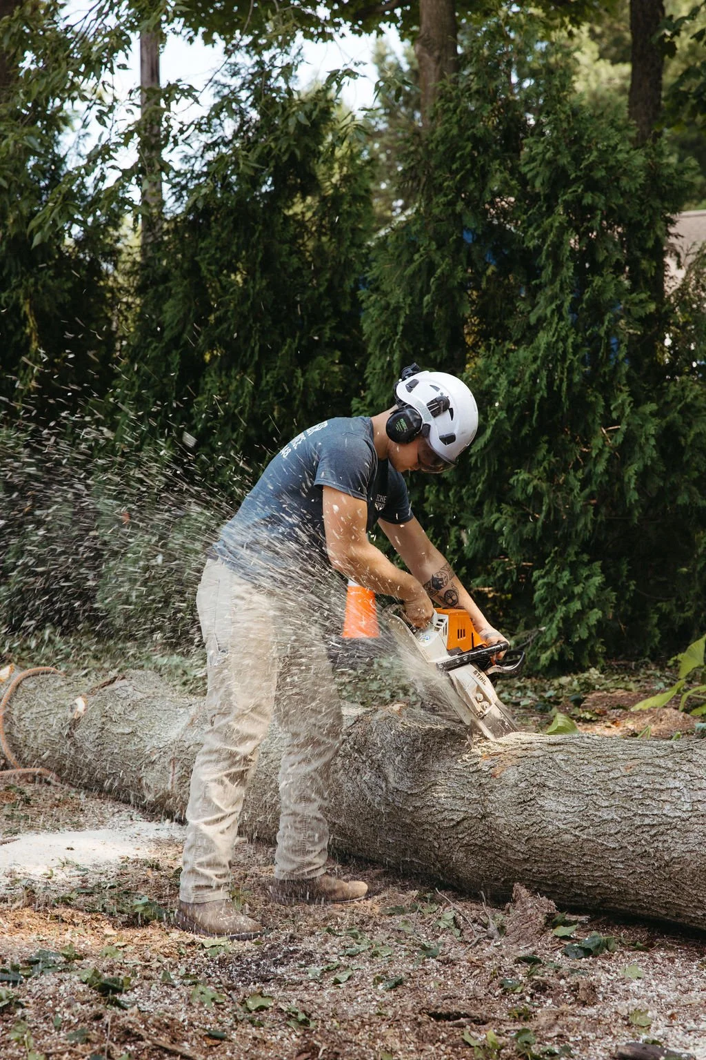 A person wearing a helmet and headphones cutting a fallen tree with a chainsaw outdoors, surrounded by green trees.