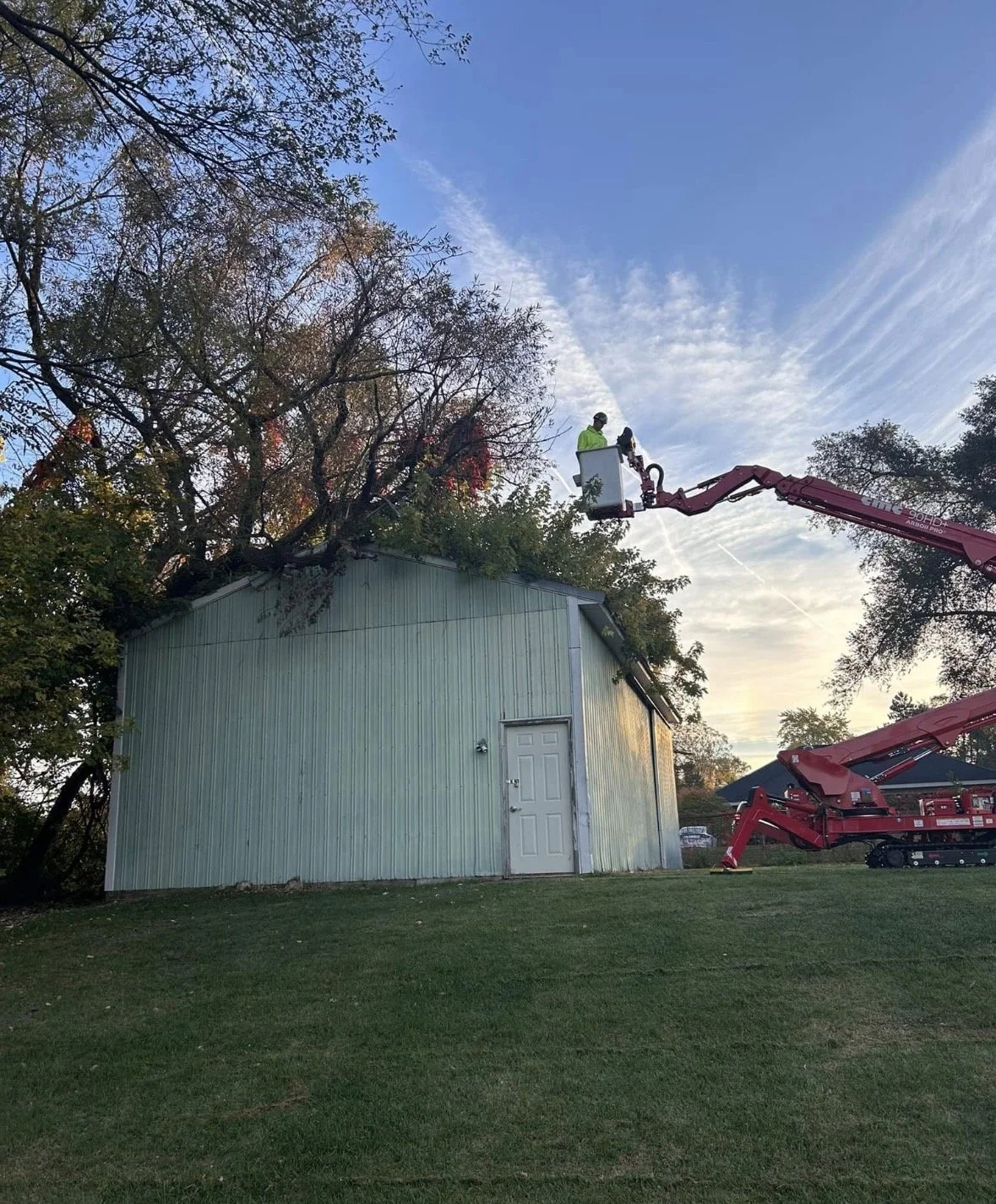 A person in a safety harness in a bucket lift pruning a tree behind a green metal building during late afternoon or early evening.