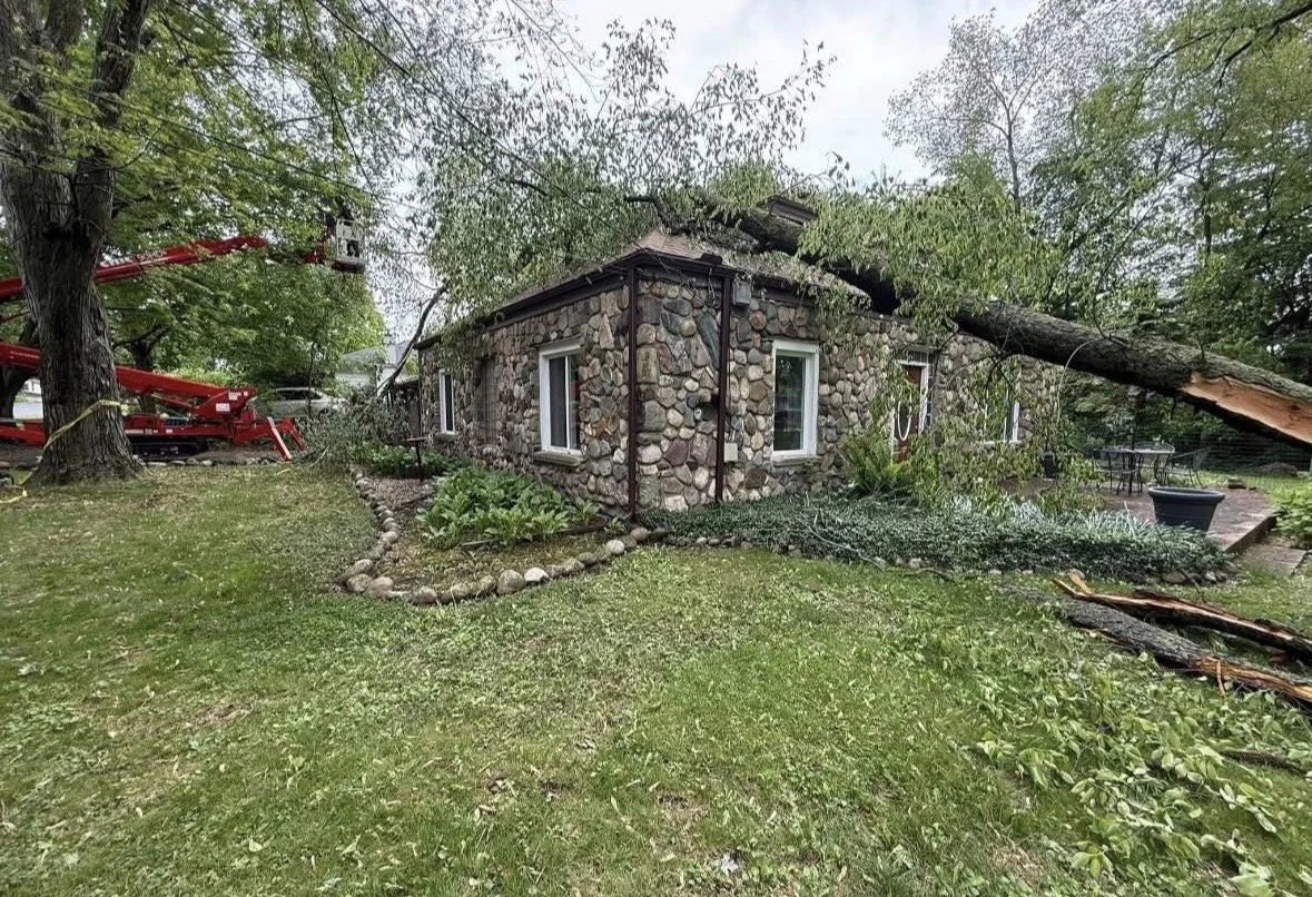 A large tree fell onto a stone house, damaging its roof, while a bucket and outdoor furniture are on a patio nearby.
