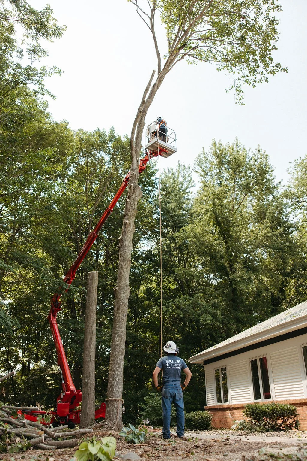 A tree removal service working on a tall tree near a house, using a lift on a truck to reach high branches, with an employee standing on the ground observing.