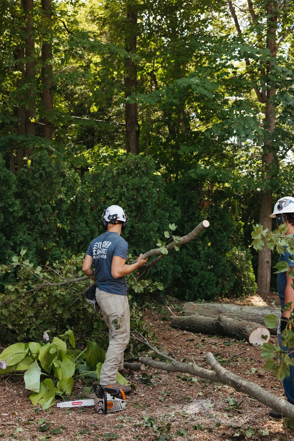 Person wearing a helmet and gloves holds a fallen tree branch, another person in similar gear stands nearby, in a wooded area with cut logs and a chainsaw on the ground.