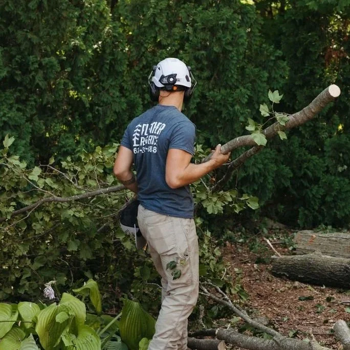A person wearing a helmet and work gloves is cutting a large tree branch in a wooded area, with dense green foliage in the background.