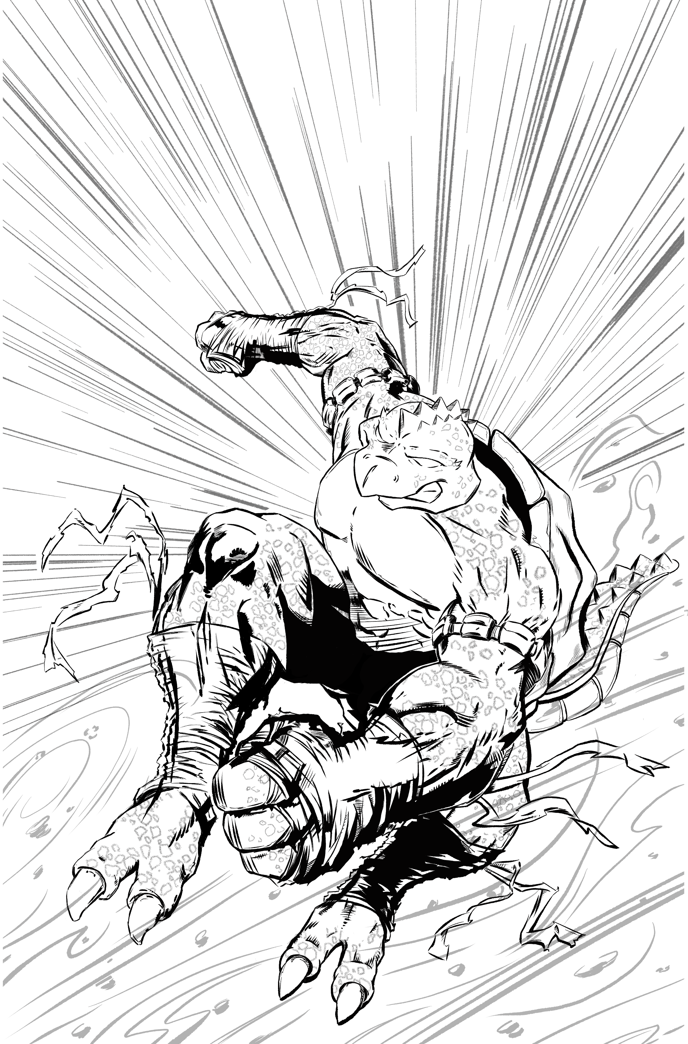 Draco Turtles 1 Cover