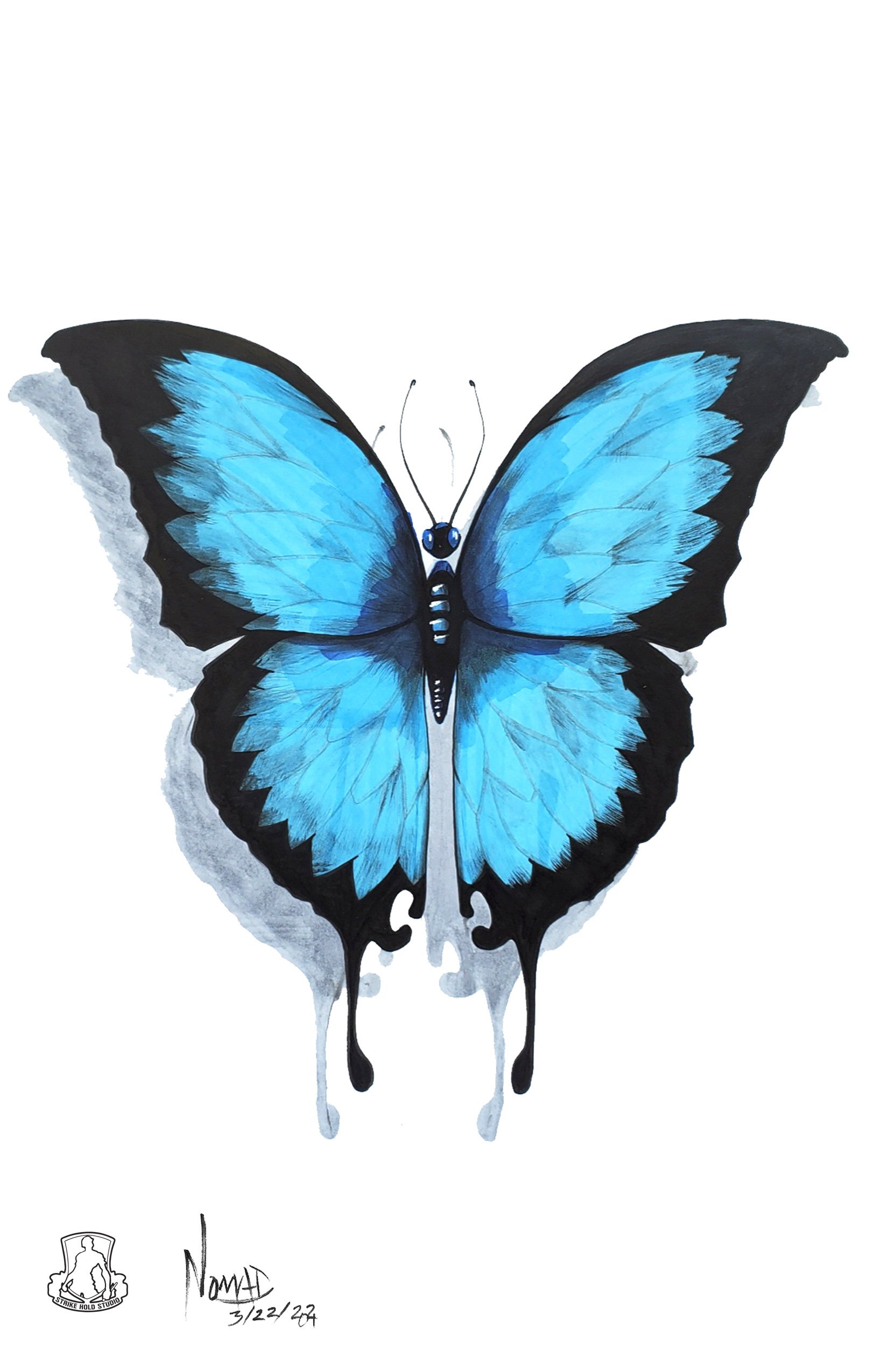Butterfly - Illustration