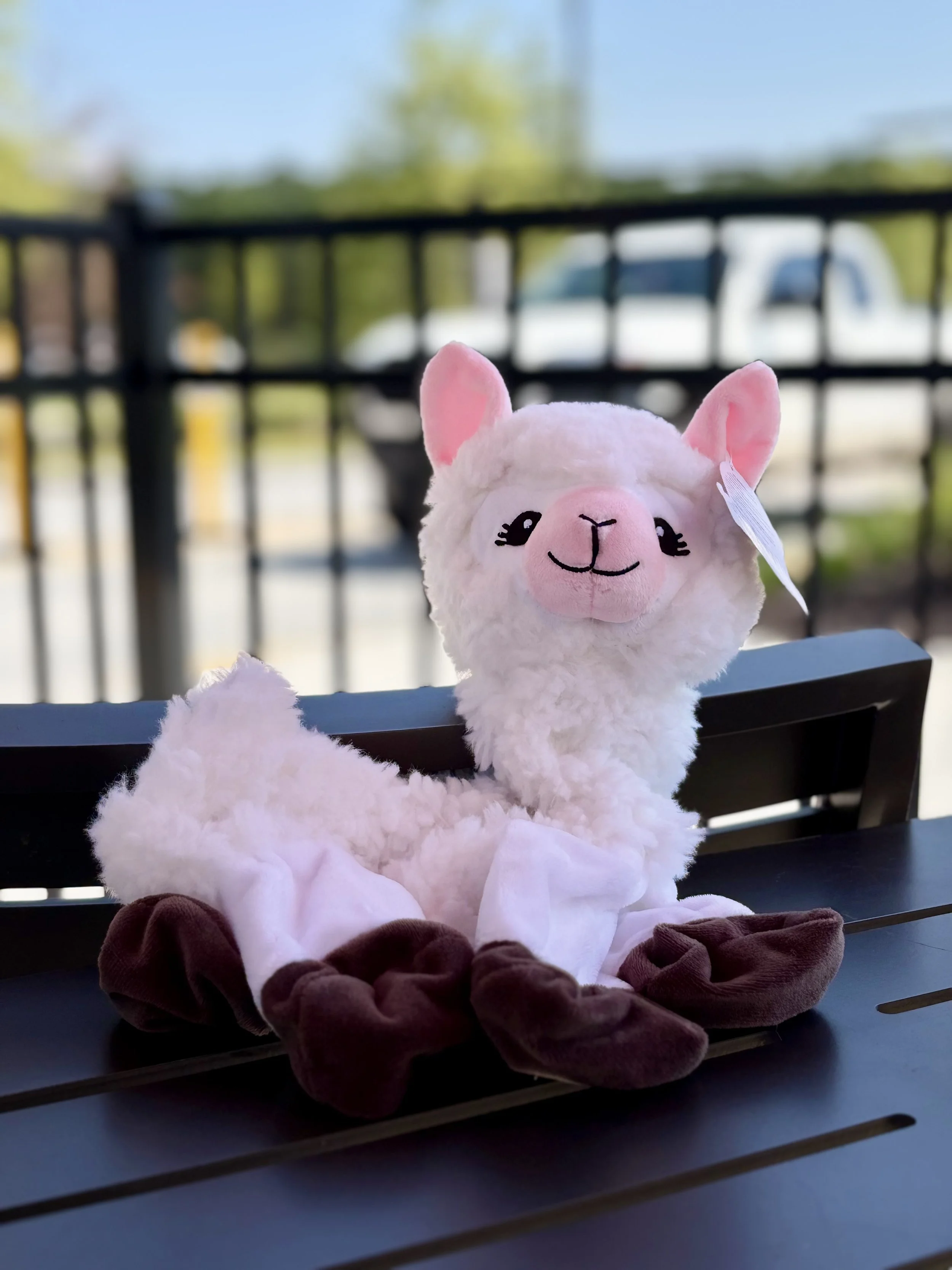 Llama - 16"