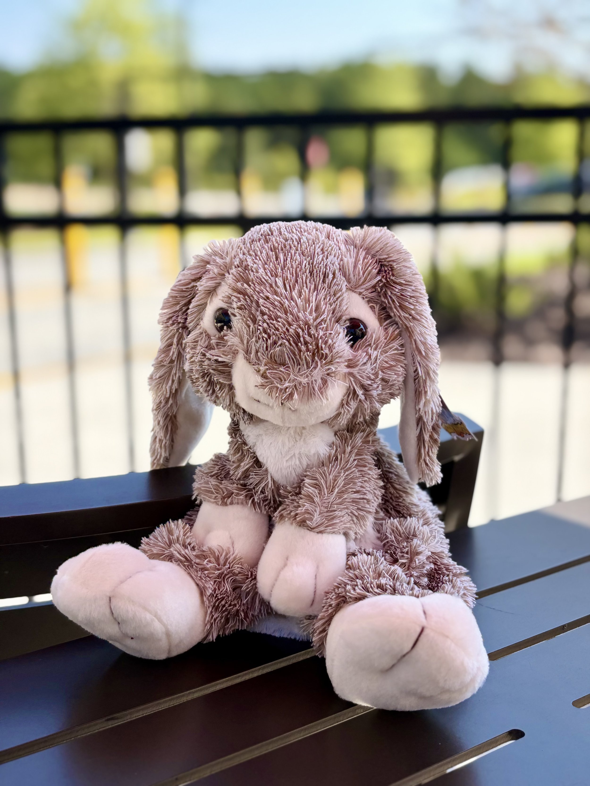 Bunny Rabbit - 16"