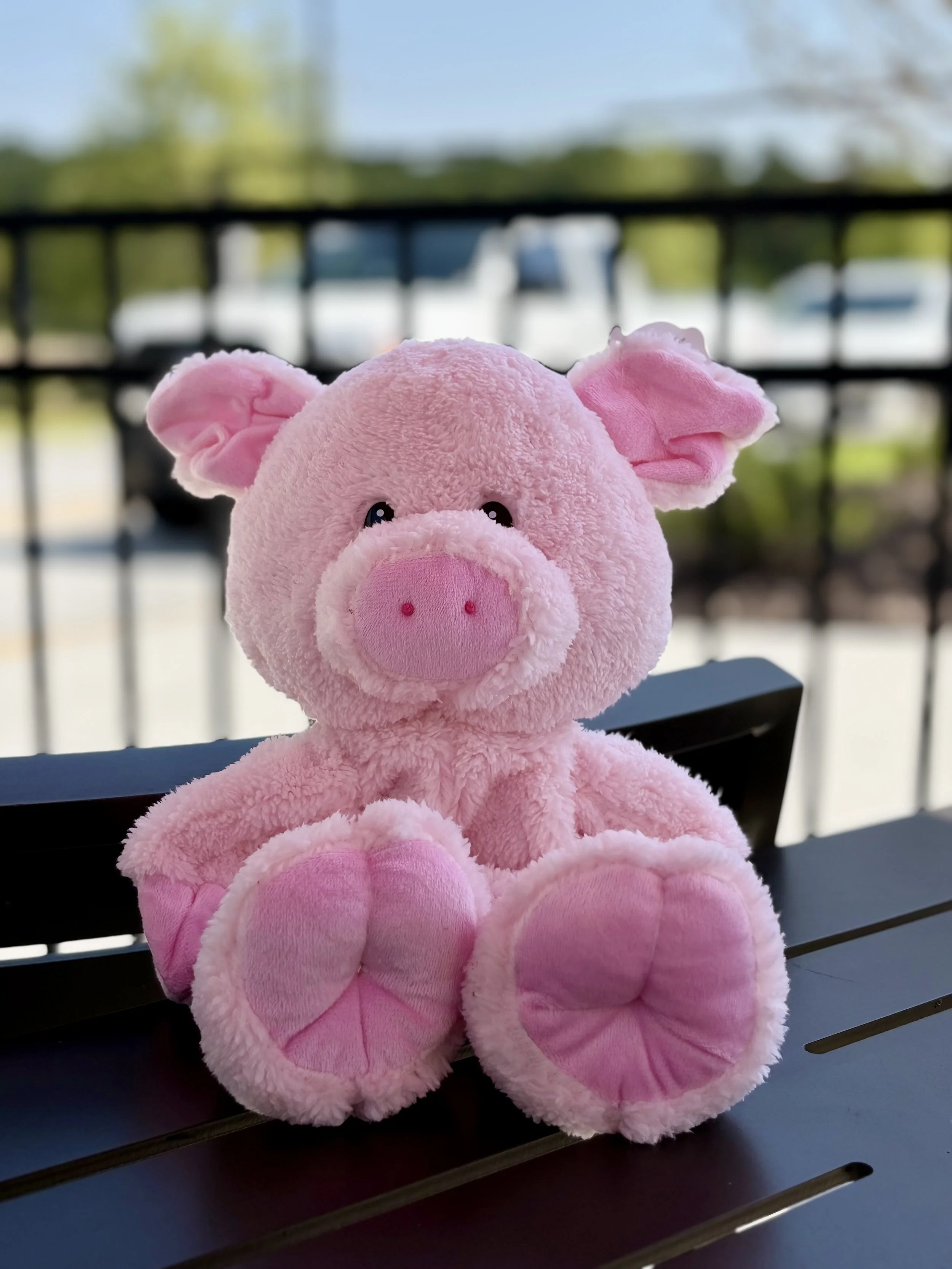 Pig - 16"