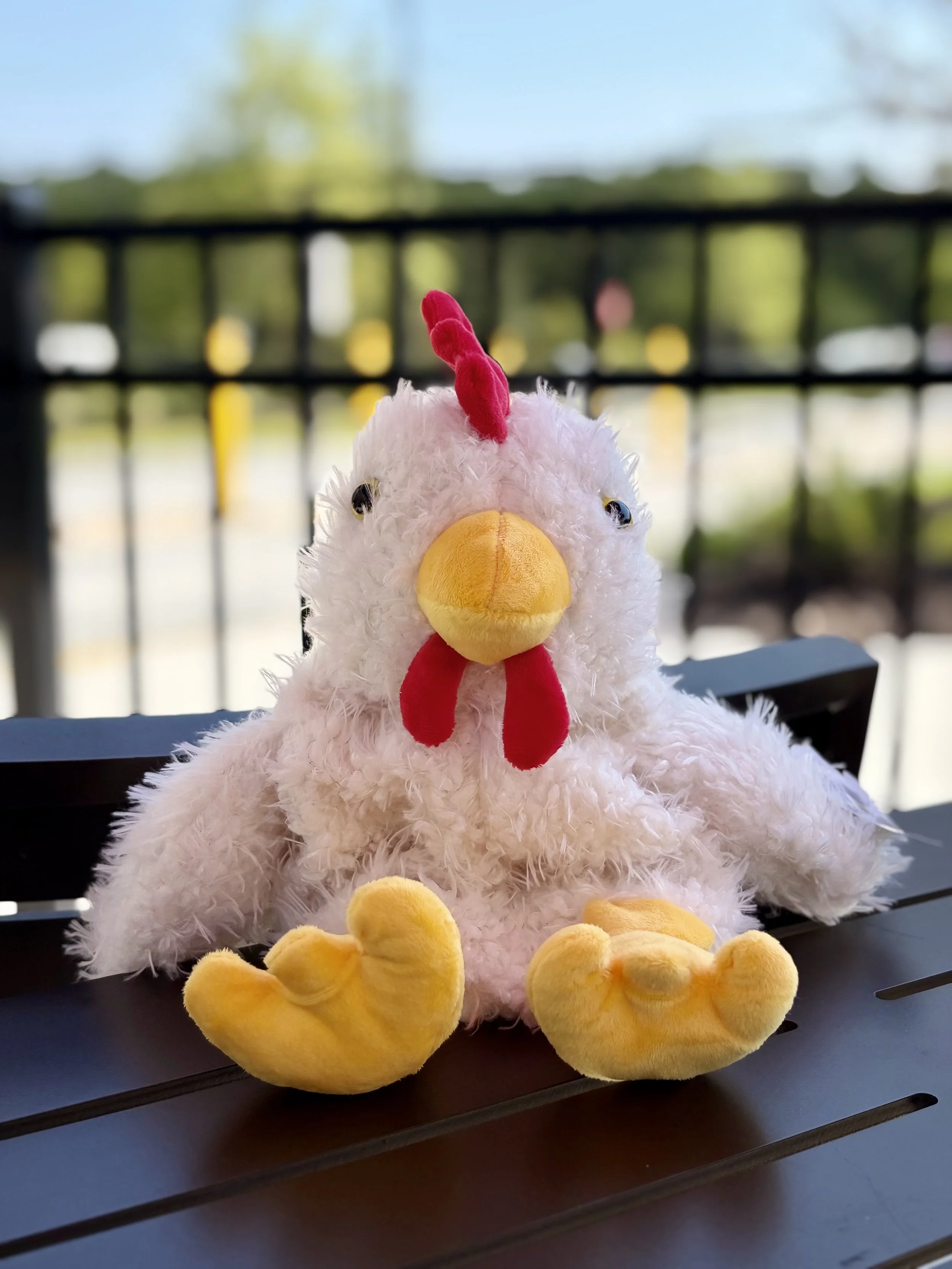 Chicken - 16"
