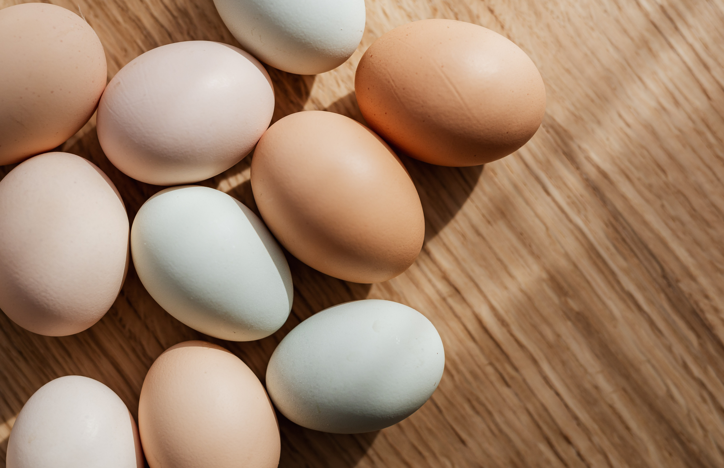 It’s Never Really About the Eggs