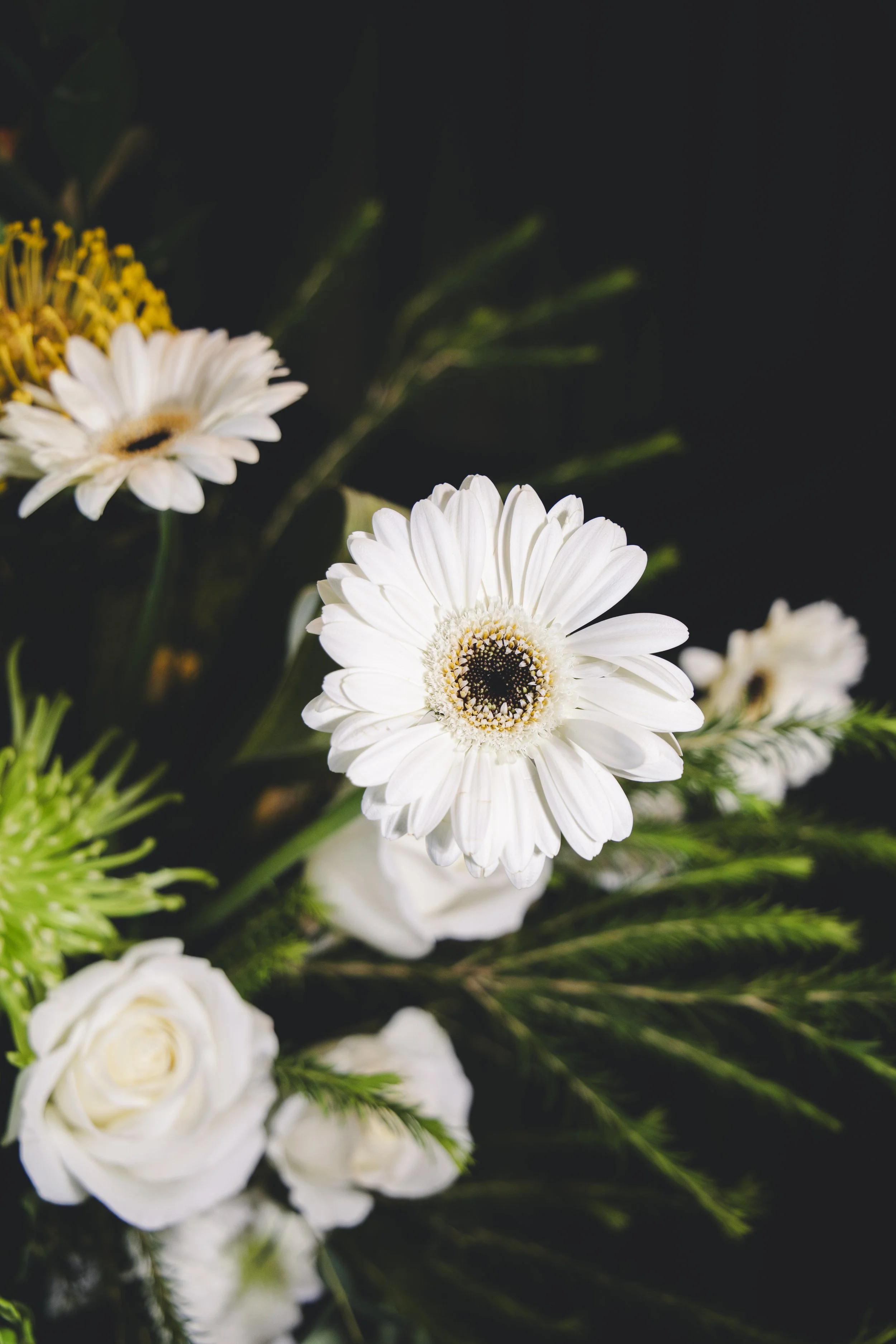 Close-up of white flowers, including daisies, with dark background and green foliage.