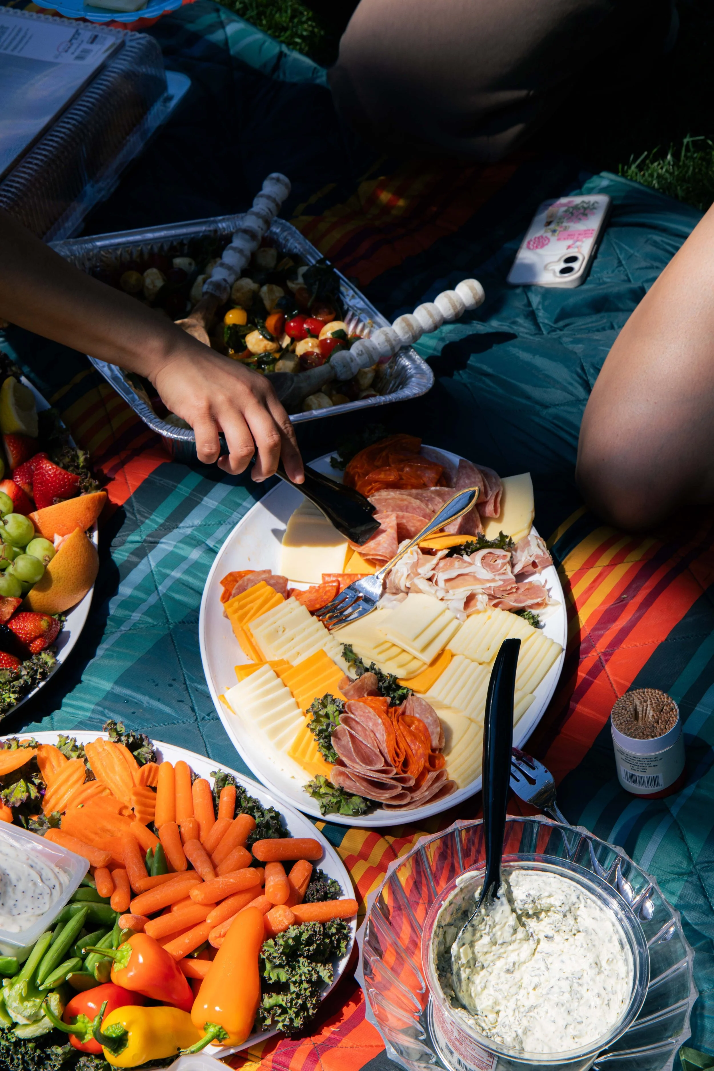 A picnic spread on a checkered tablecloth, featuring a platter of assorted sliced cheeses and meats, a large bowl of creamy dip, a plate of fresh vegetables like carrots, peppers, and celery, and a tray of grapes, strawberries, and other fruits. Ther