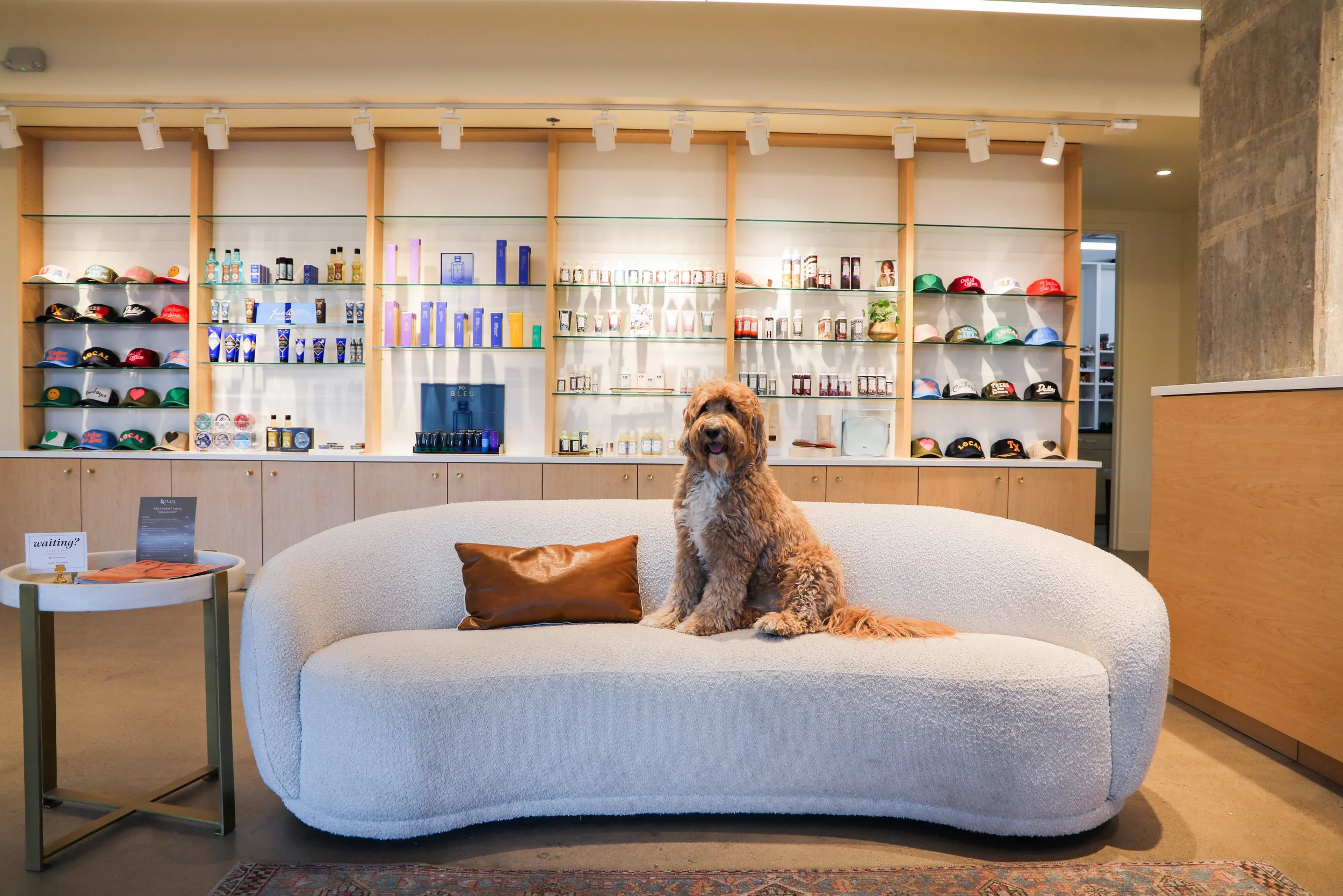 A dog sitting on a white, rounded sofa with a brown pillow in a retail store, with shelves of hats, skincare, and perfume products in the background.