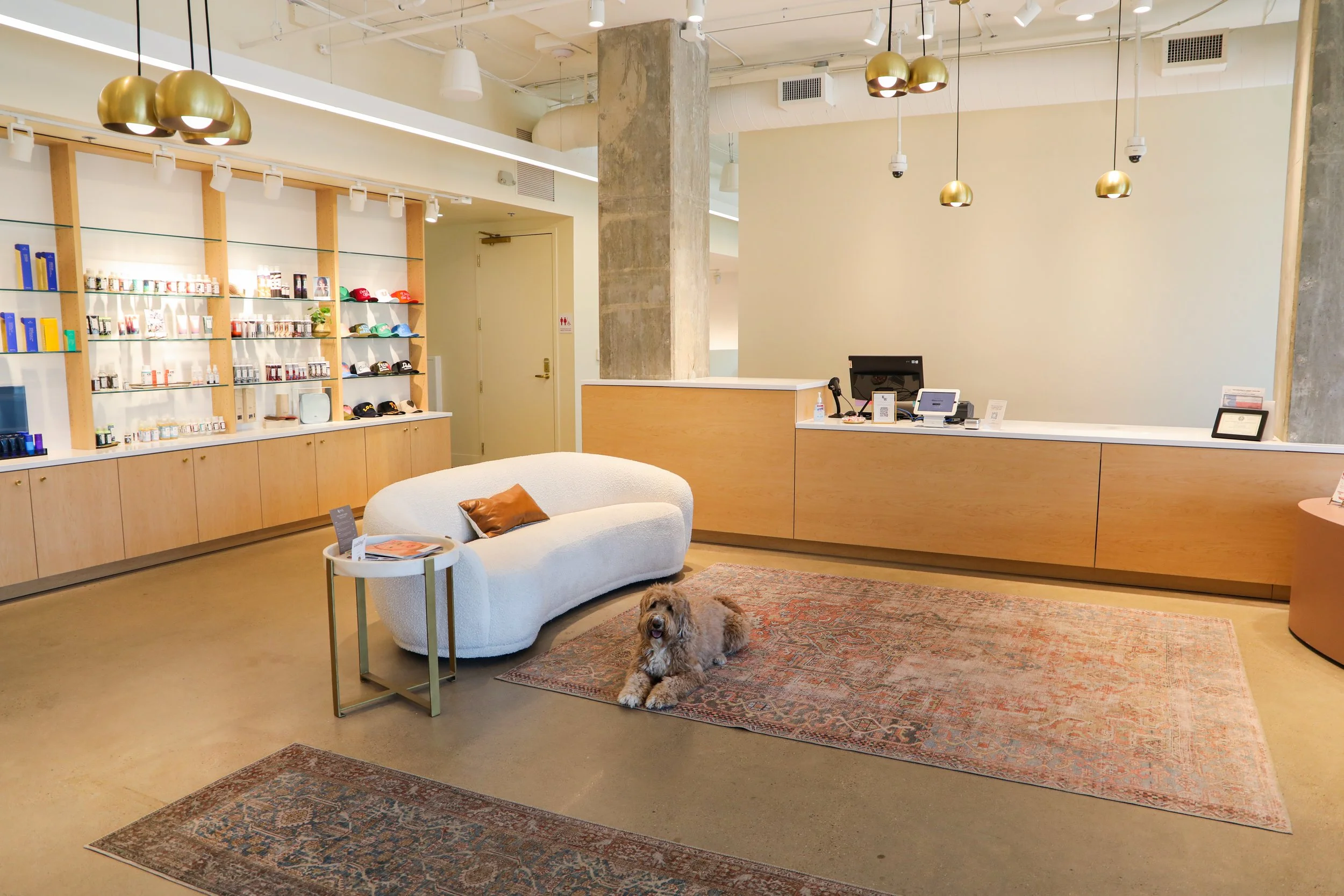 Modern retail store interior with display shelves, cash register, and seating area. A dog is lying on a rug, and there is a small table with magazines.