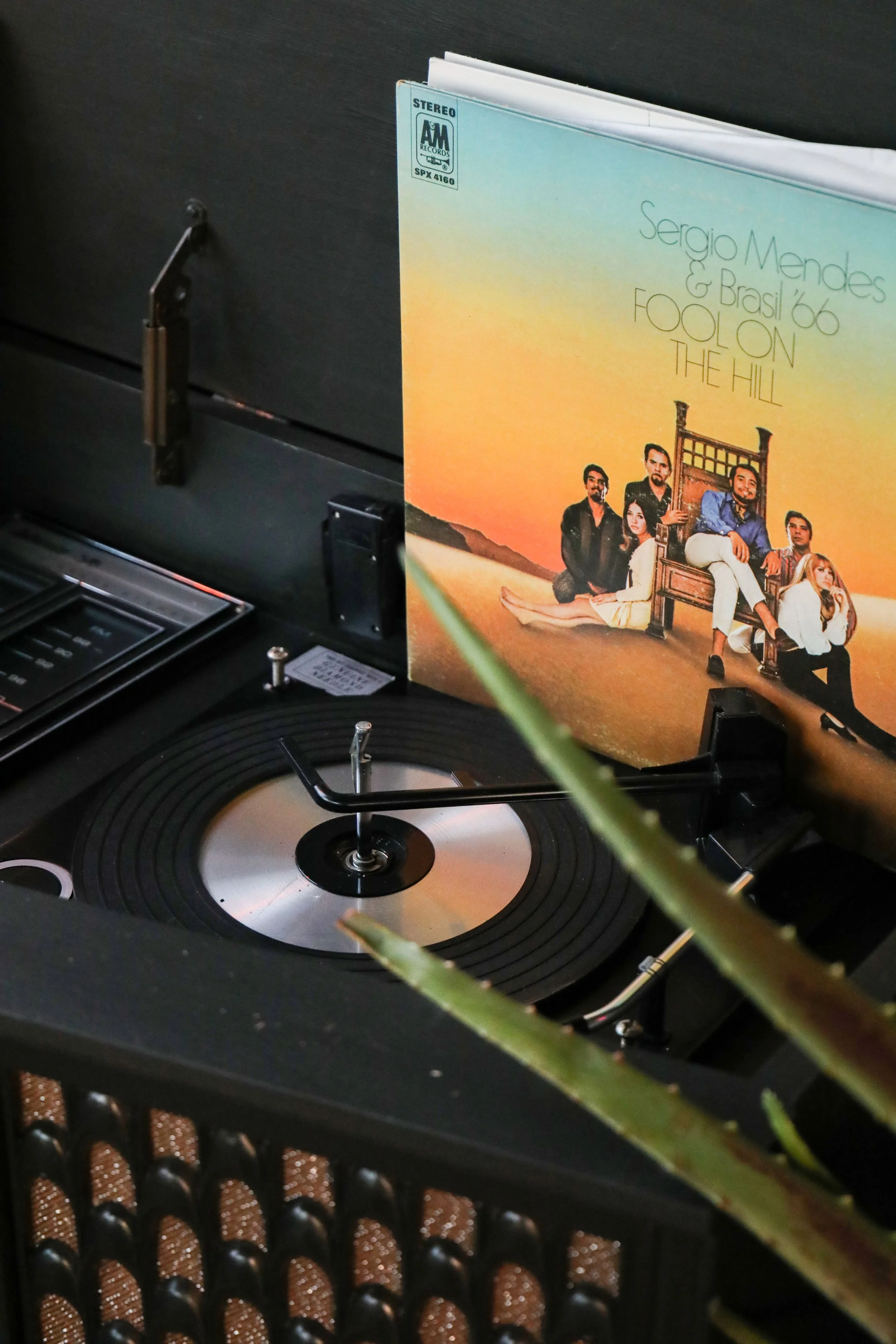 A vinyl record on a turntable with a partly visible album cover for Sergio Mendes & Brasil '66 'Fool On The Hill' in the background, and a plant stem in the foreground.