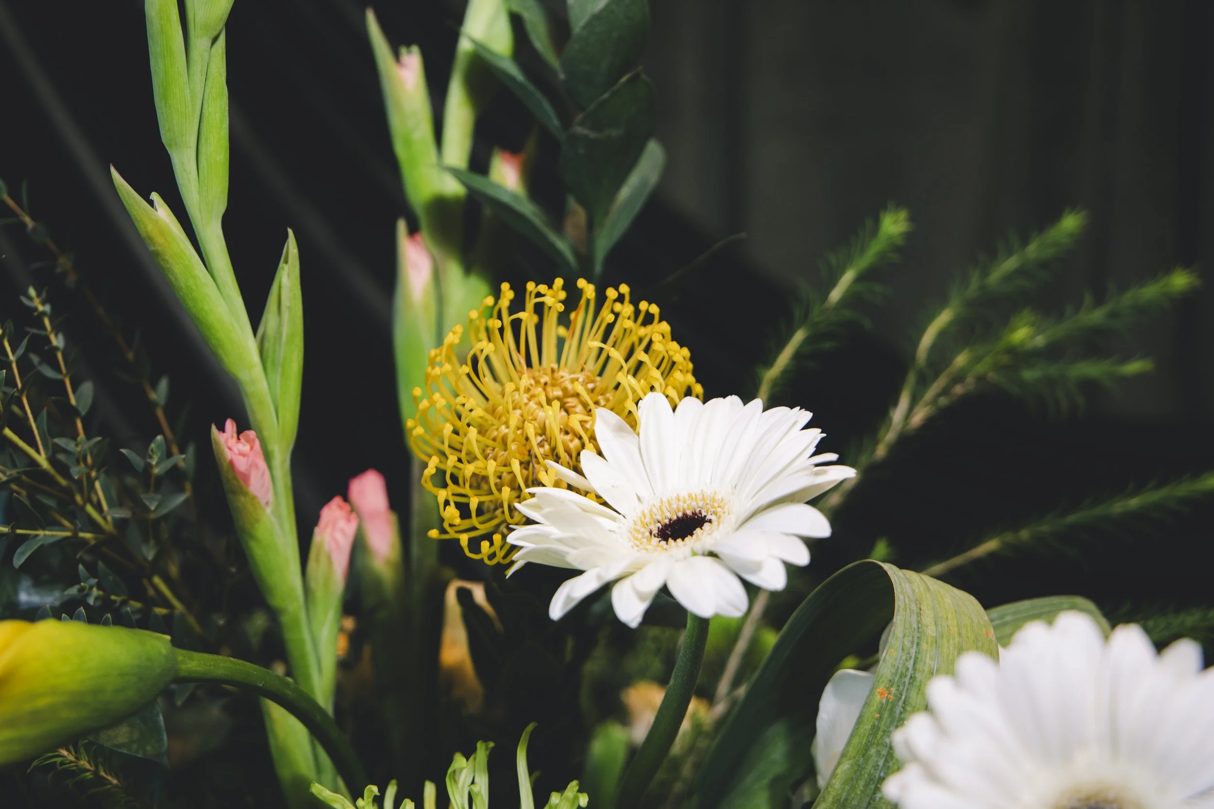 Close-up of a white gerbera daisy flower with yellow pollen and stamens, surrounded by green foliage and other flowering plants.