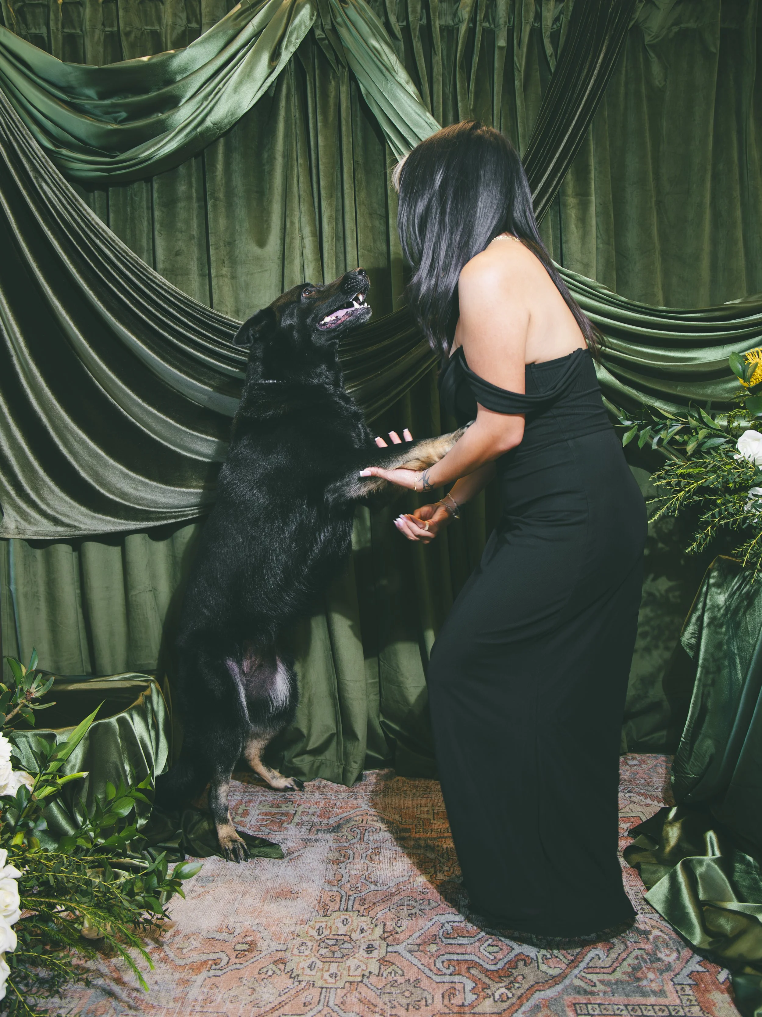A woman in a black dress kneeling down and holding paws of a black and tan dog, who is standing on its hind legs with mouth open, in front of green draped fabric backdrop with plants around.