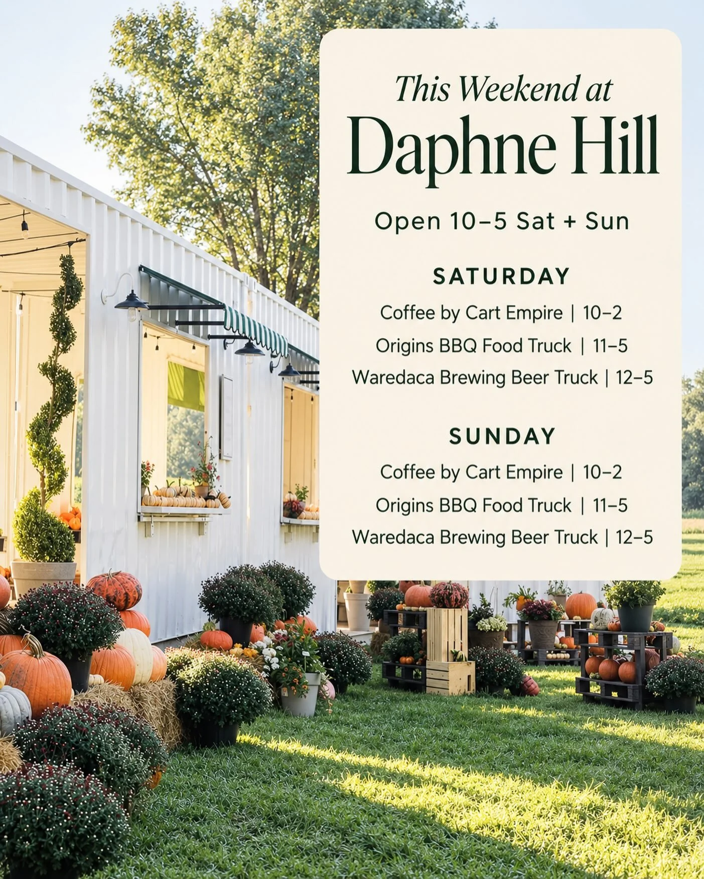 It&rsquo;s official 🎃 Pick Your Own Pumpkins opens this weekend at Daphne Hill!

Come wander the patch, pick your favorites, grab something delicious, and spend a fall day on the farm.

Saturday, September 12
Coffee by Cart Empire | 10&ndash;2
Origi