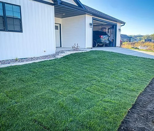 Lawn Installation