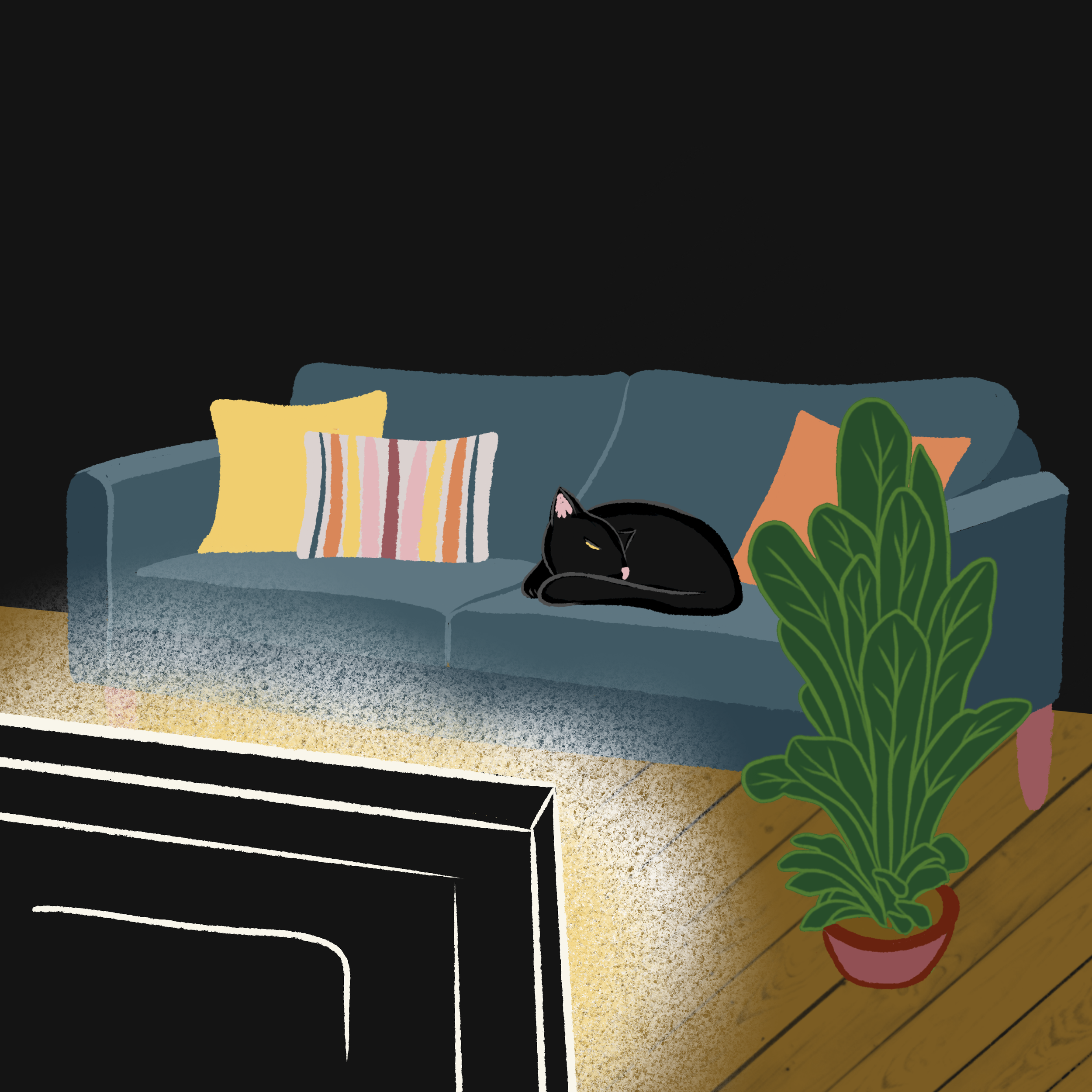 A living room with a blue sofa decorated with pillows, a black cat lying on the sofa, a green potted plant, and colorful carpet and cushions, against a black background.