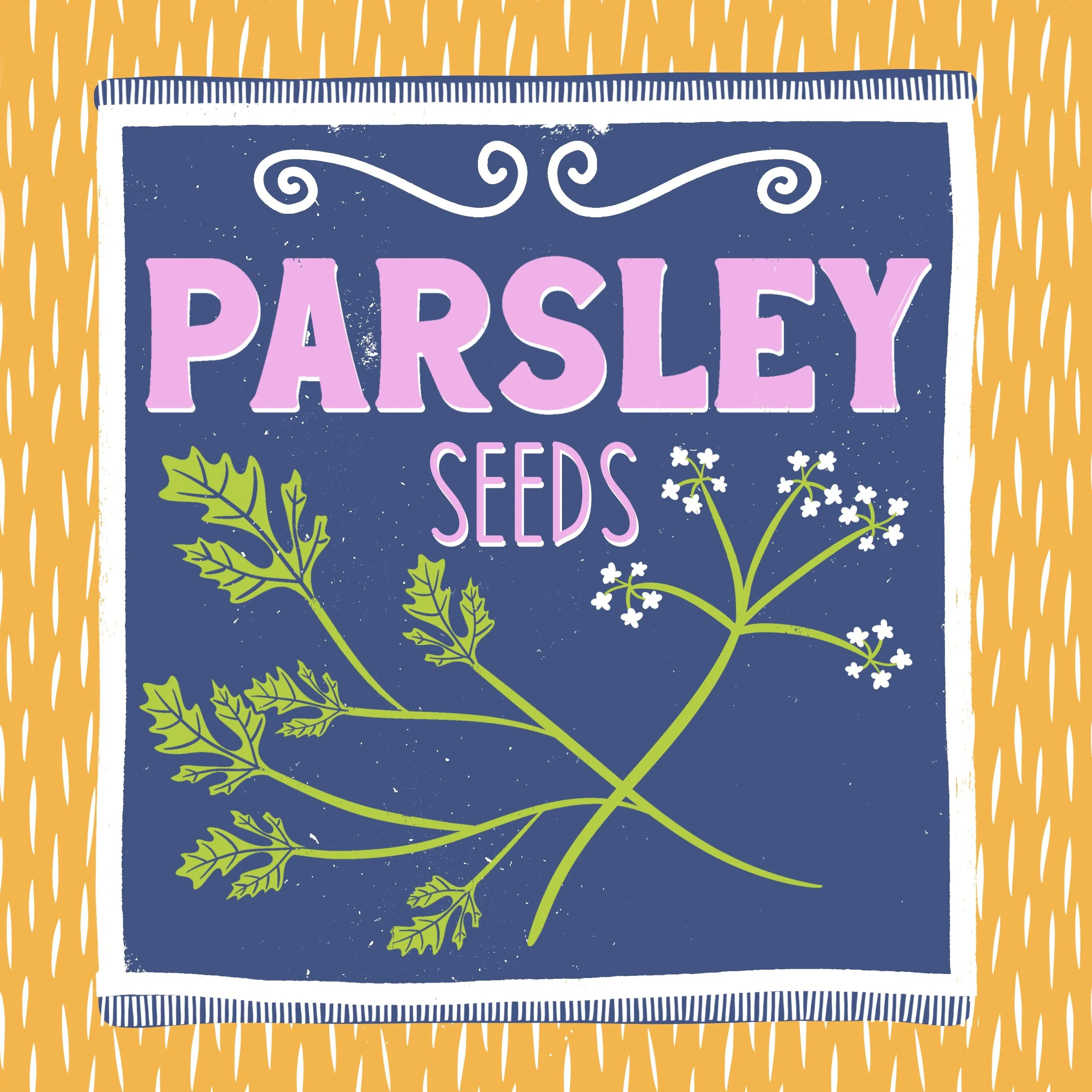 Close-up of a colorful package of parsley seeds with illustrated parsley and decorative text.