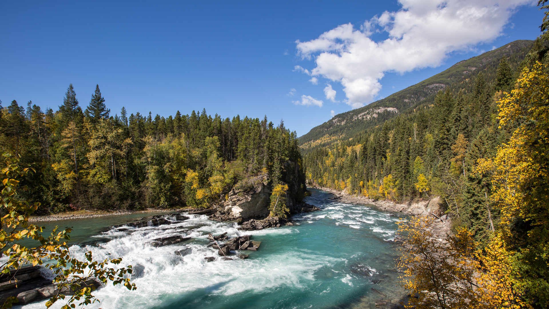 Rocky Mountaineer x BBC Studios 