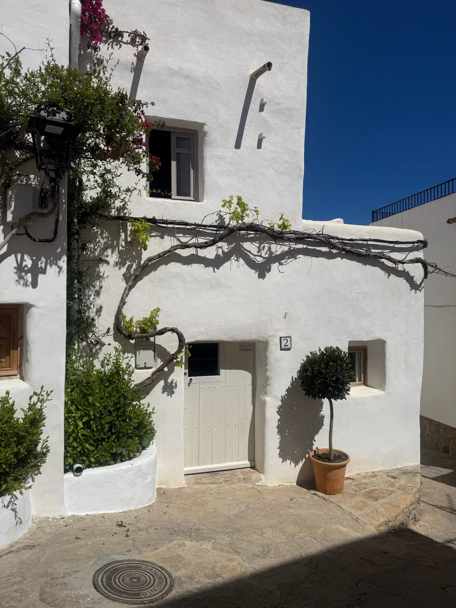 White stucco house with a small window, a black outdoor lamp, potted tree, and greenery. Clear blue sky in the background.
