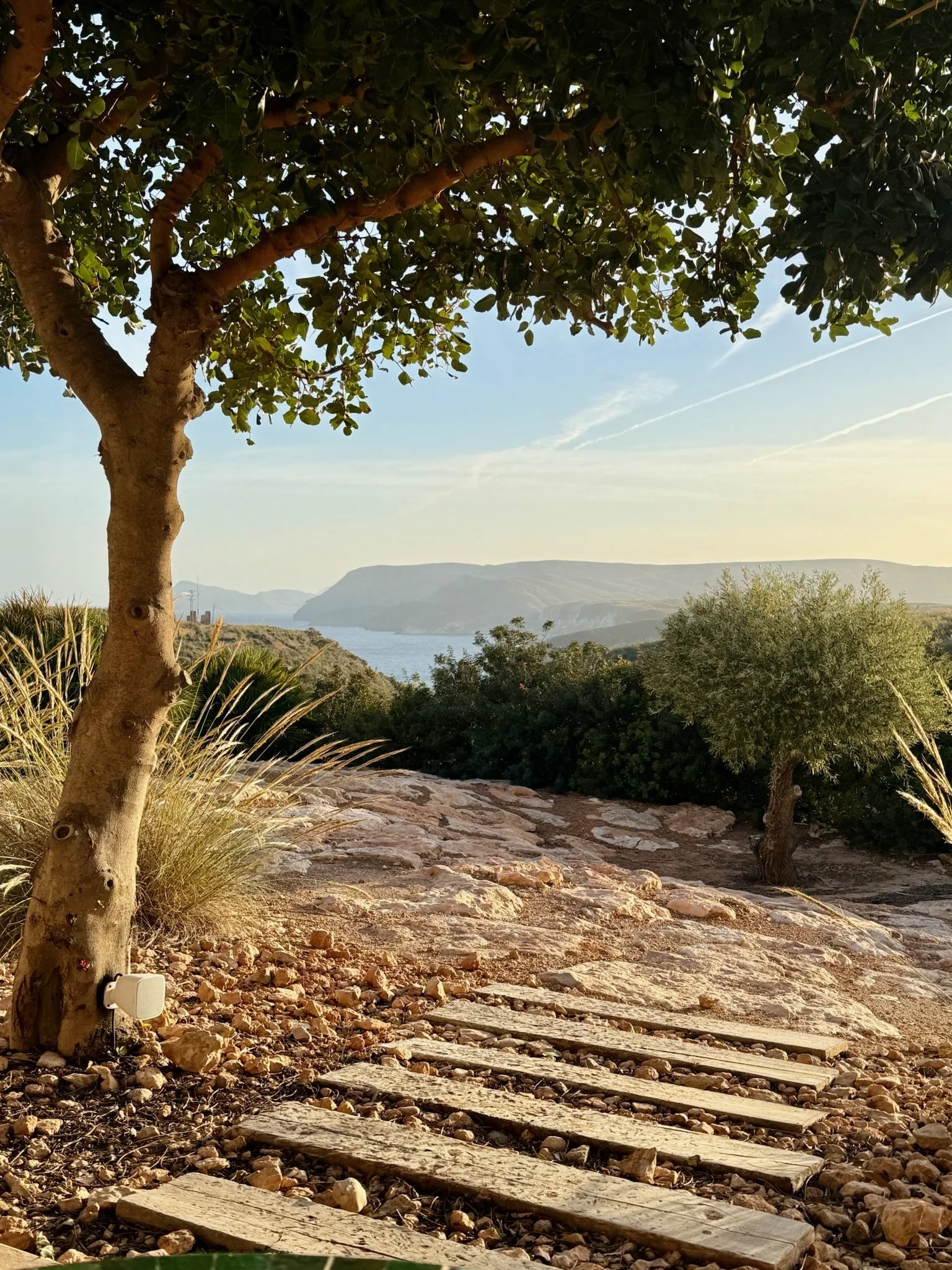 A view of a rocky pathway with wooden planks leading through a natural landscape. A large tree with thick green leaves is in the foreground, on the left side. In the background, a body of water and distant cliffs or hills are visible under a clear sk