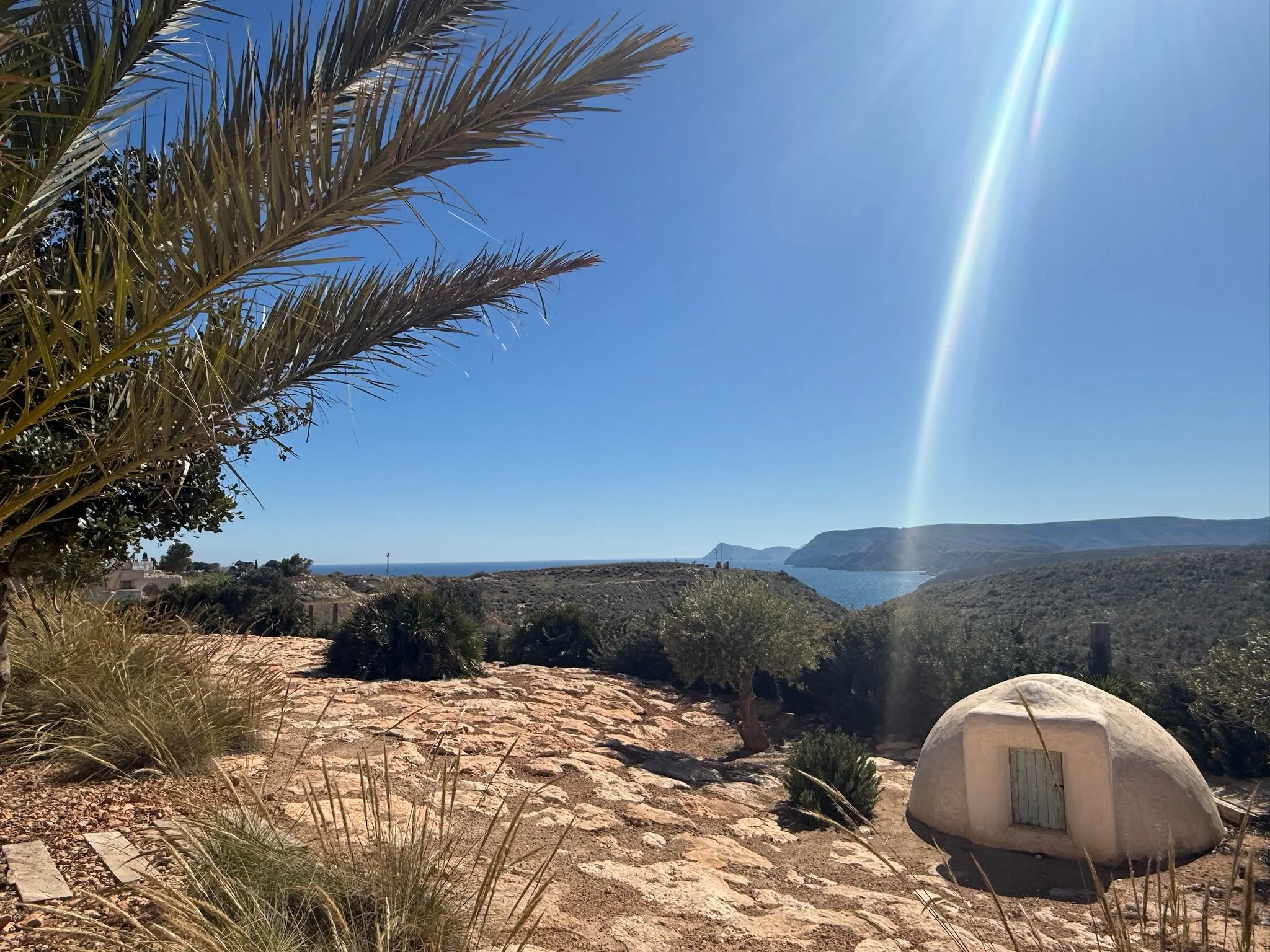 A scenic coastal landscape with a clear blue sky and the ocean in the distance. In the foreground, there are various desert plants, including grass and a small shrub. Large rocks and a stone pathway are visible, along with a white-painted marker or s