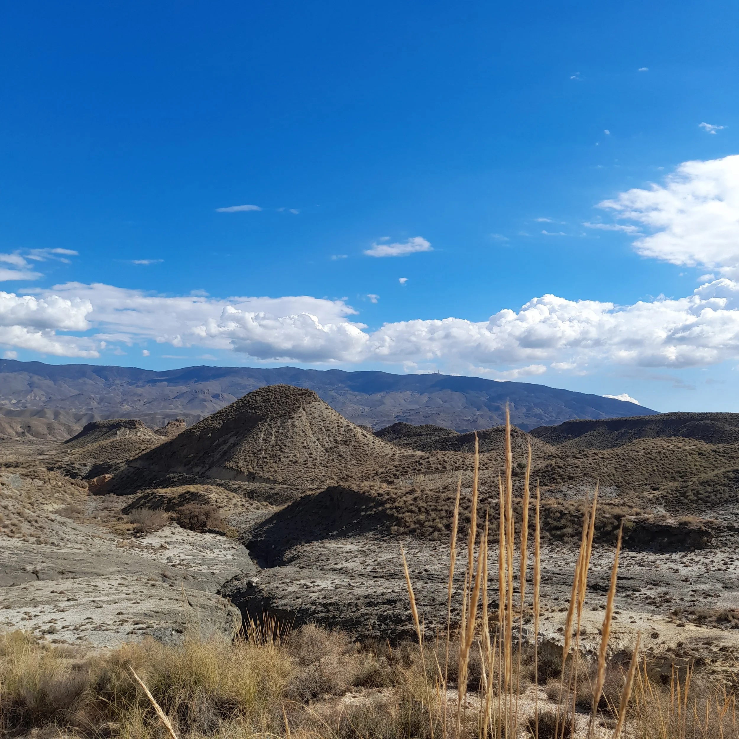 A desert landscape with rocky terrain, sparse vegetation, and distant mountains under a bright blue sky with some clouds.