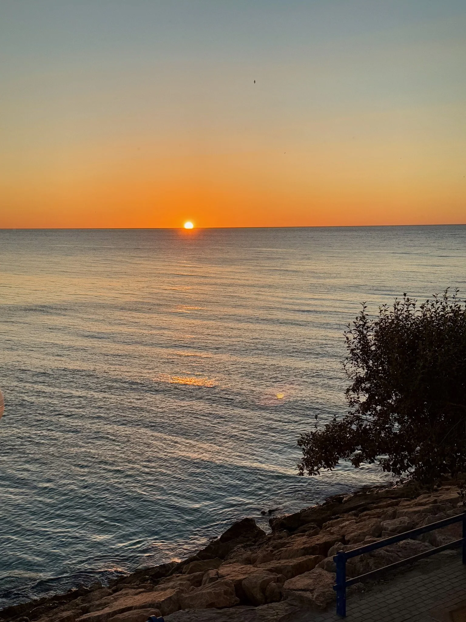 A sunset over a calm body of water with a rocky shoreline in the foreground and some trees on the right side.