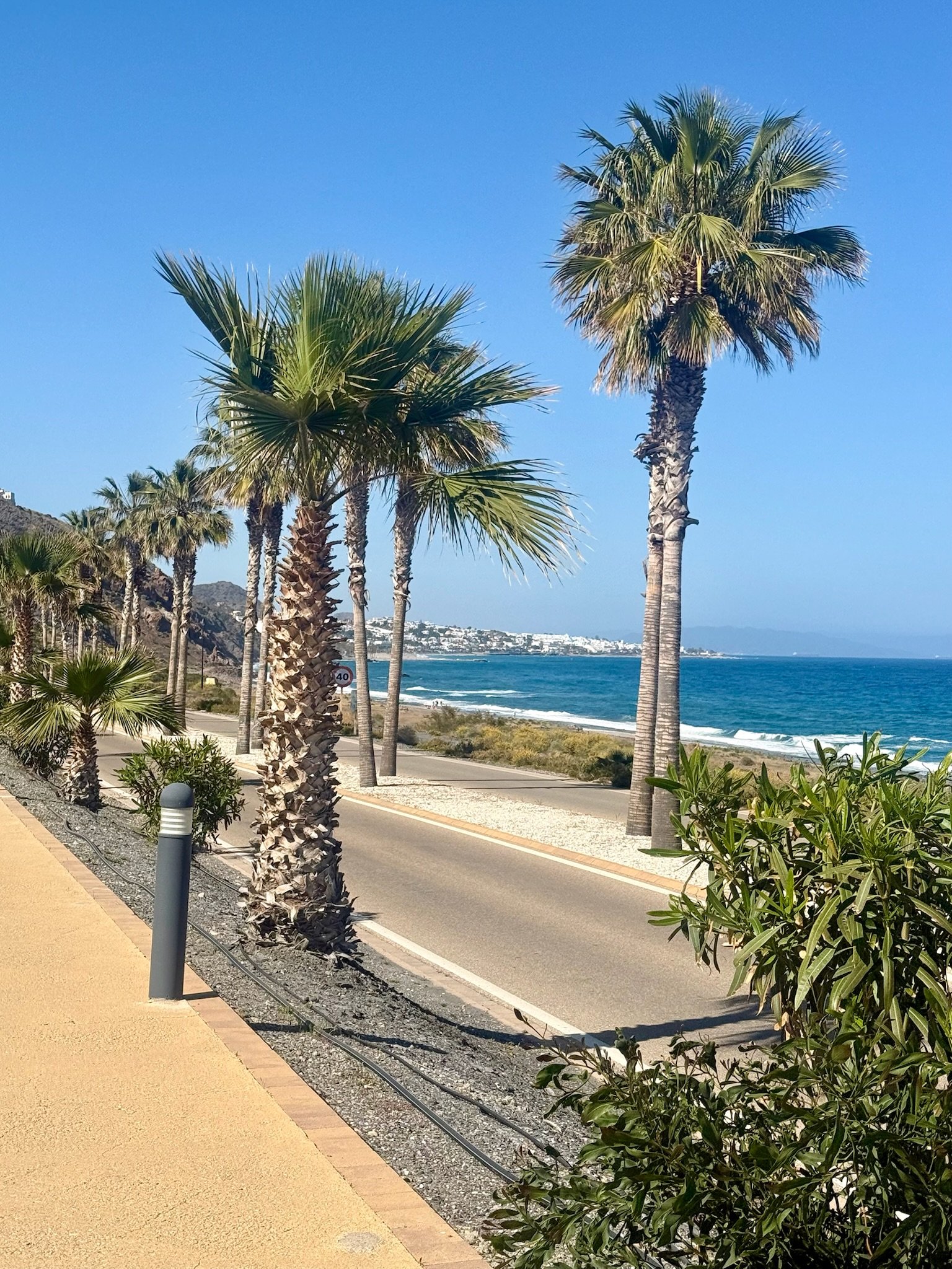 Palm trees lining a coastal road with ocean waves and a distant hillside town in the background.