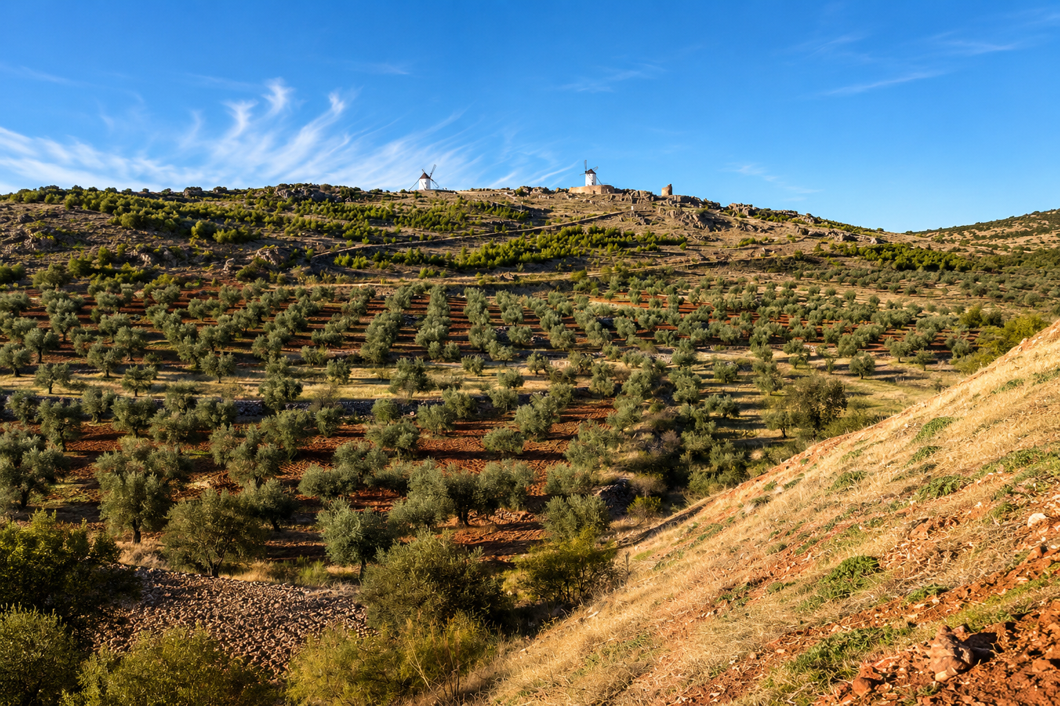 Hilly landscape with rows of trees, windmills on a hilltop, blue sky with wispy clouds.