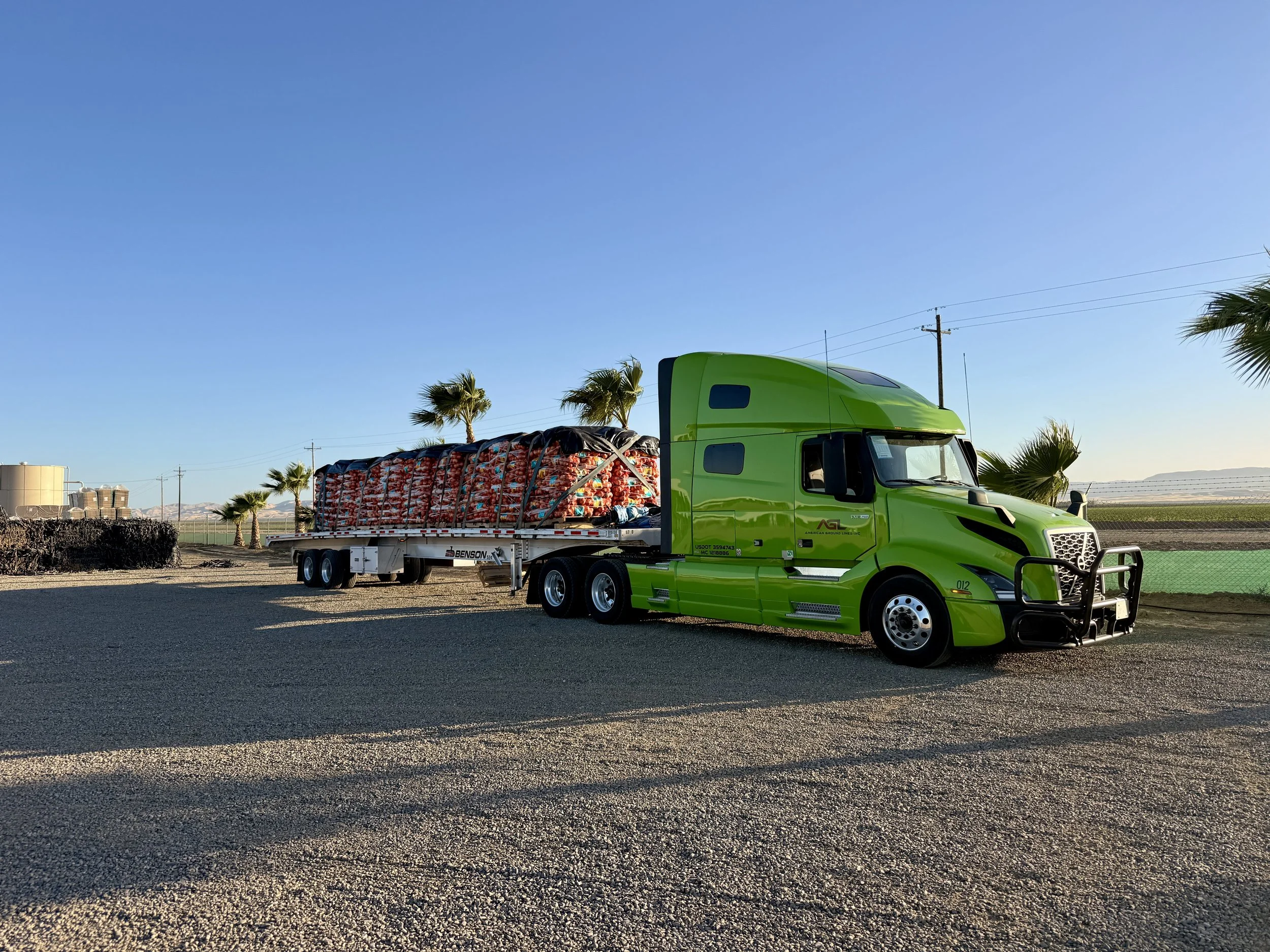 A bright green semi-truck with a flatbed trailer carrying a large load of red onions, parked outdoors on a gravel lot with palm trees, power lines, and a clear blue sky in the background.