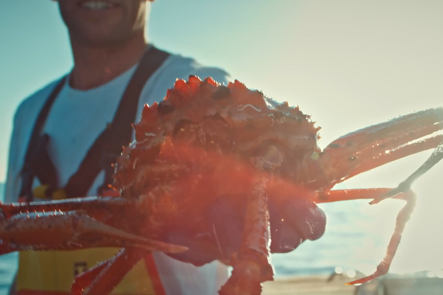 Person holding a cooked lobster outdoors in daylight.