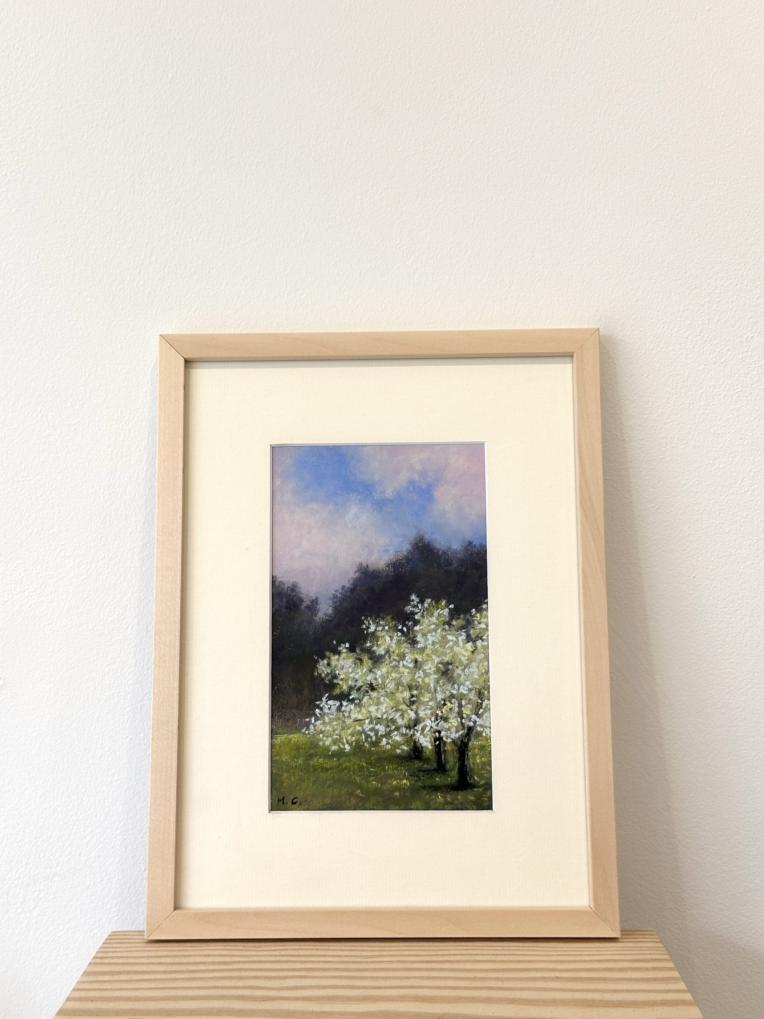 the-white-blossoms-of-trelisick-garden-02.jpg