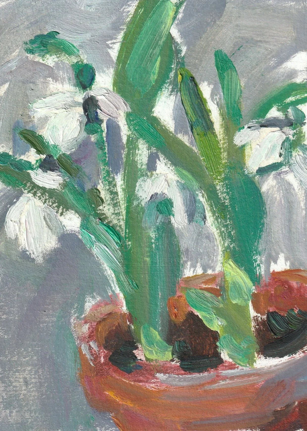 snowdrop-study-lynne-cartlidge-front.jpg