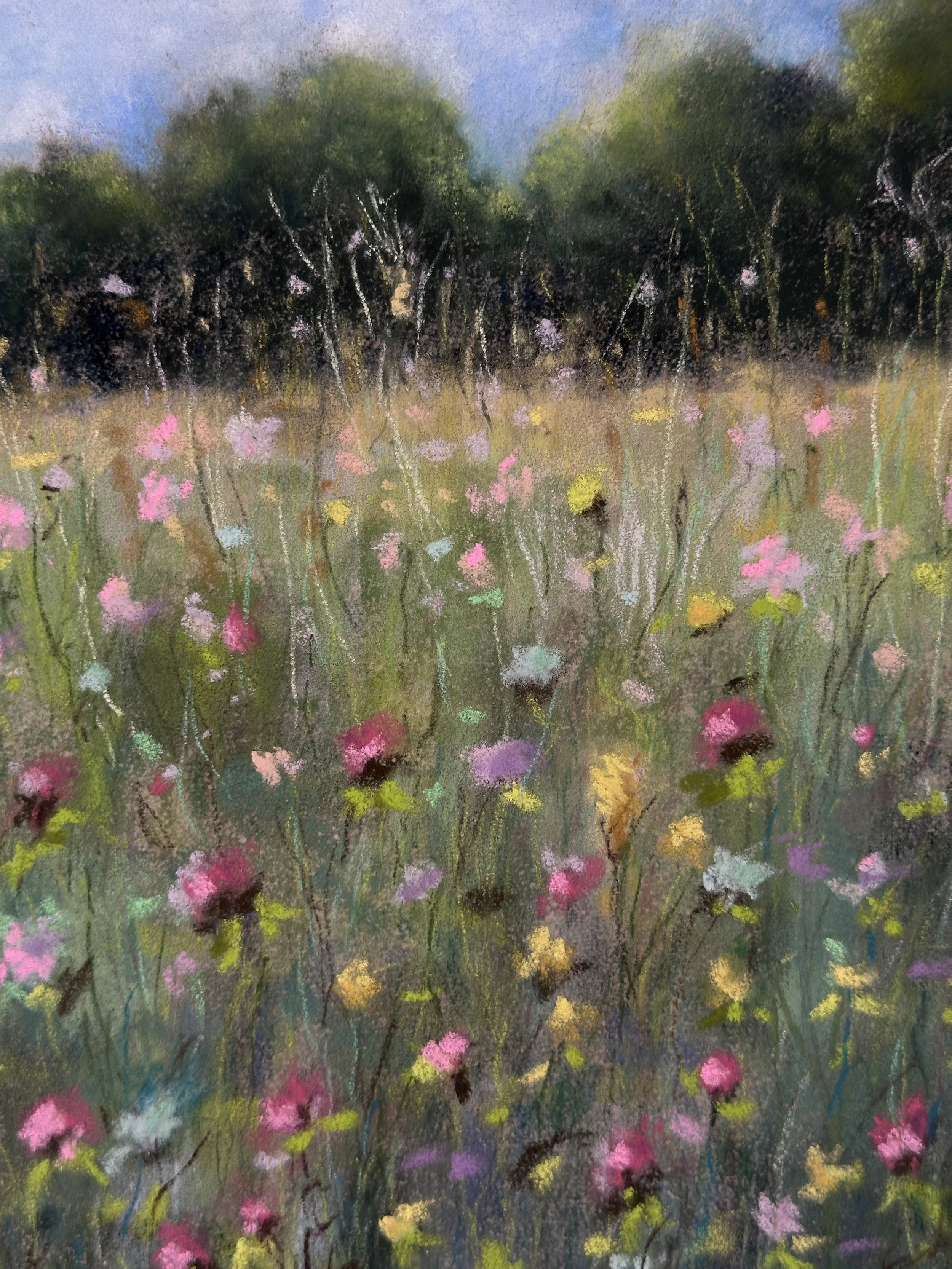 a-candy-style-flower-field.JPG