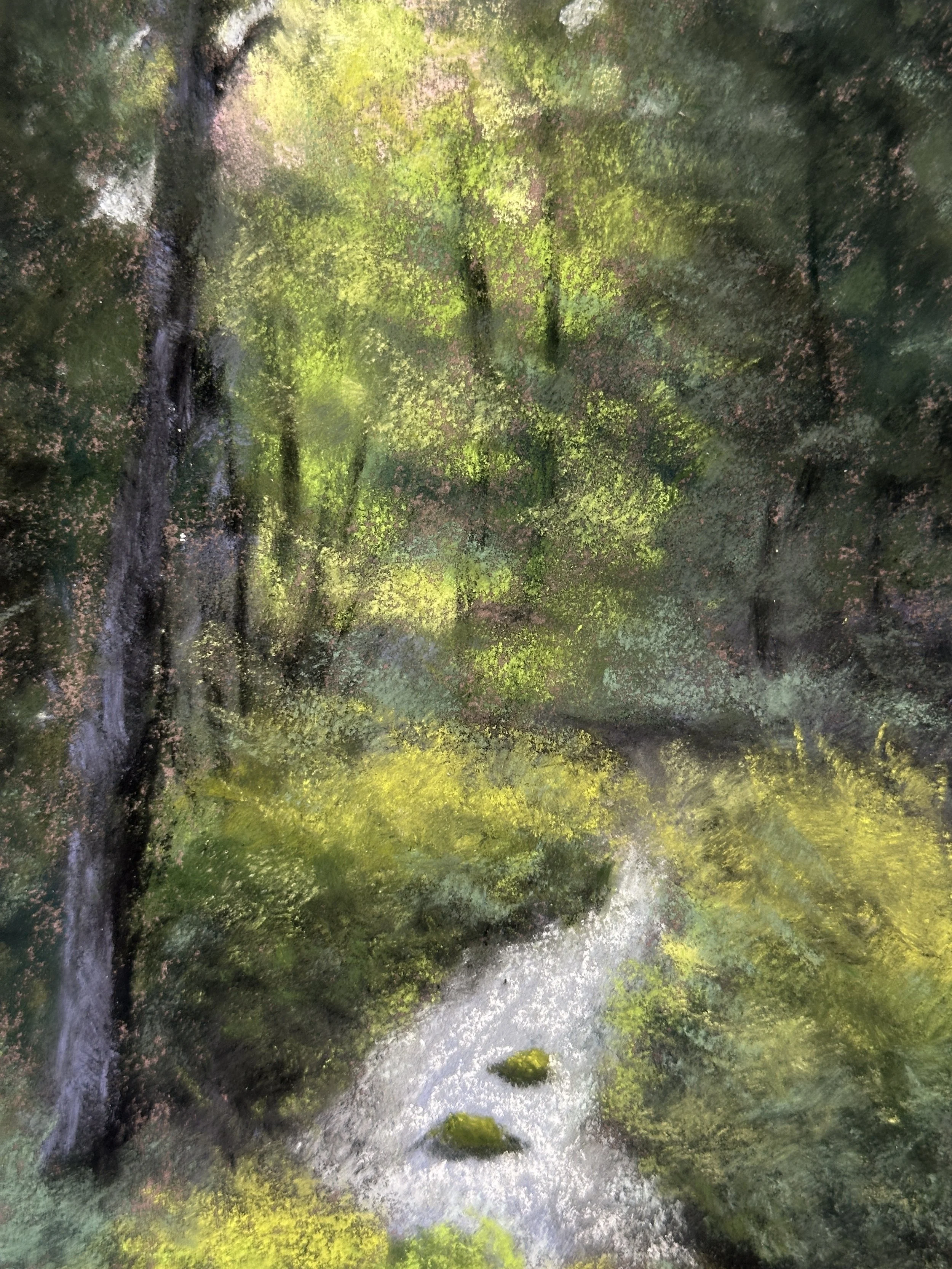 light-shines-over-the-quiet-river-at-kennell-vale.JPG
