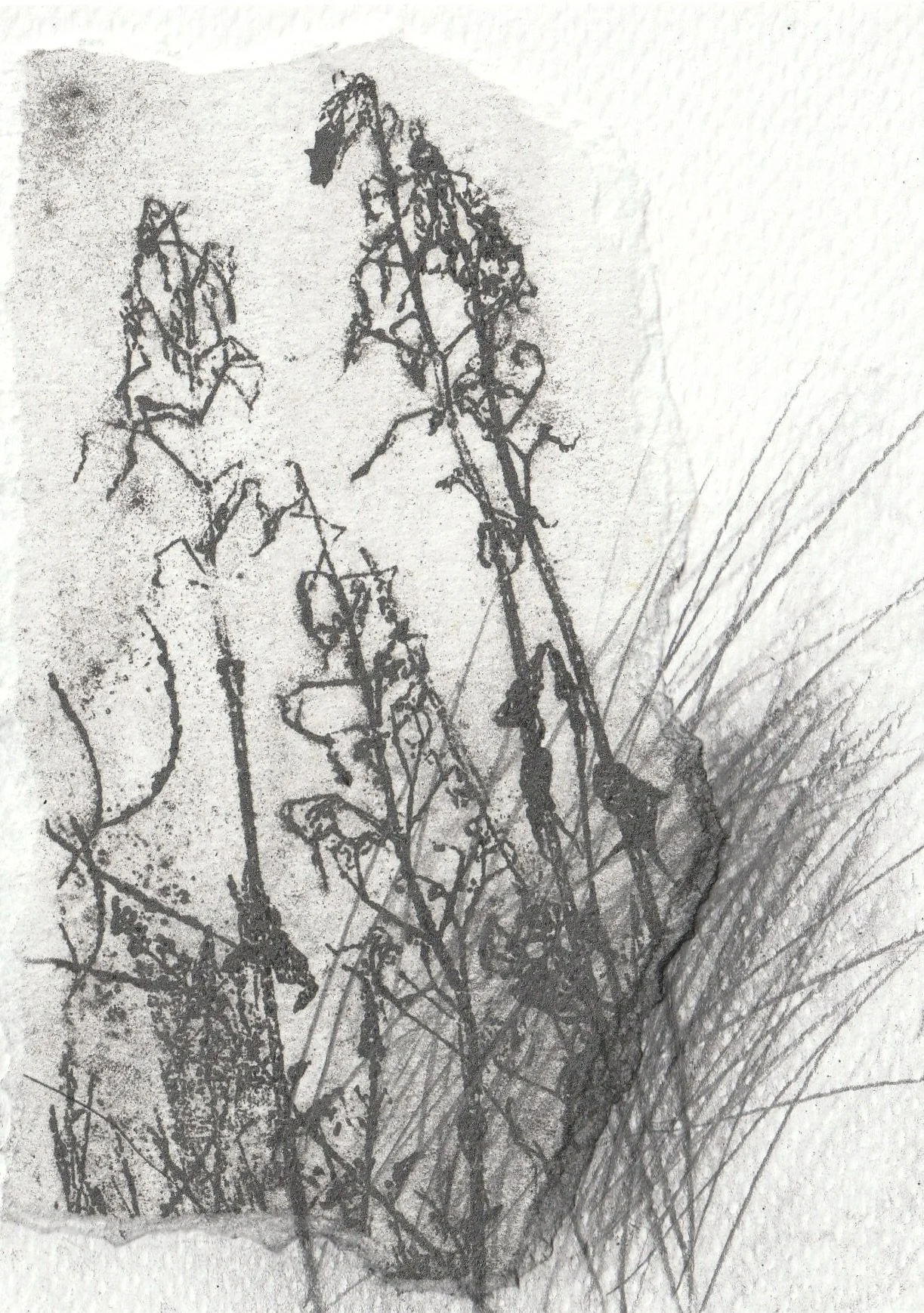field-notes-helen-ward-front.jpg